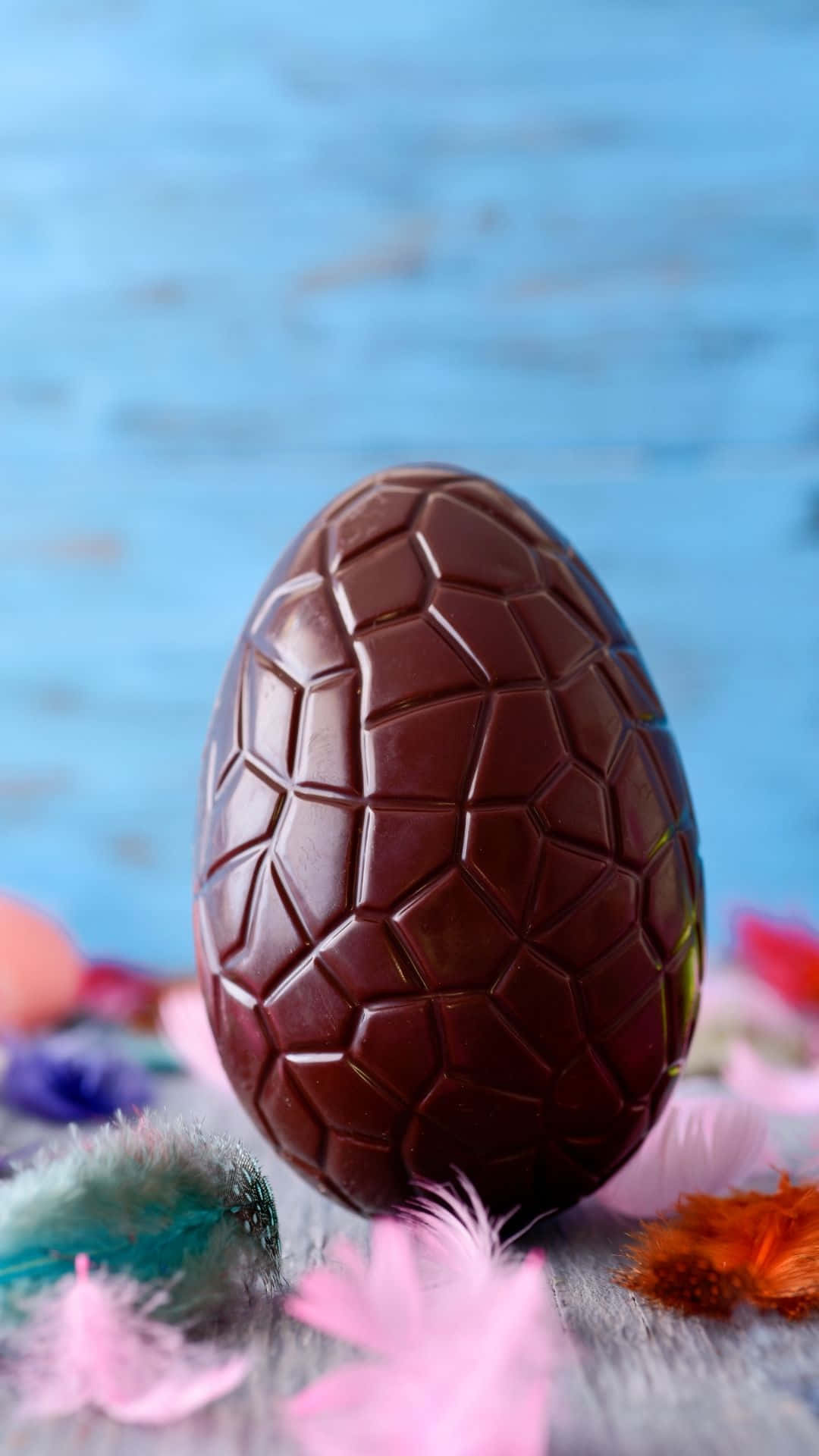 Egg 桌布 壁紙 — 一個帶有幾何凹痕的光澤黑巧克力蛋，放在色彩繽紛的羽毛上，背景是柔和的藍色木質背景。