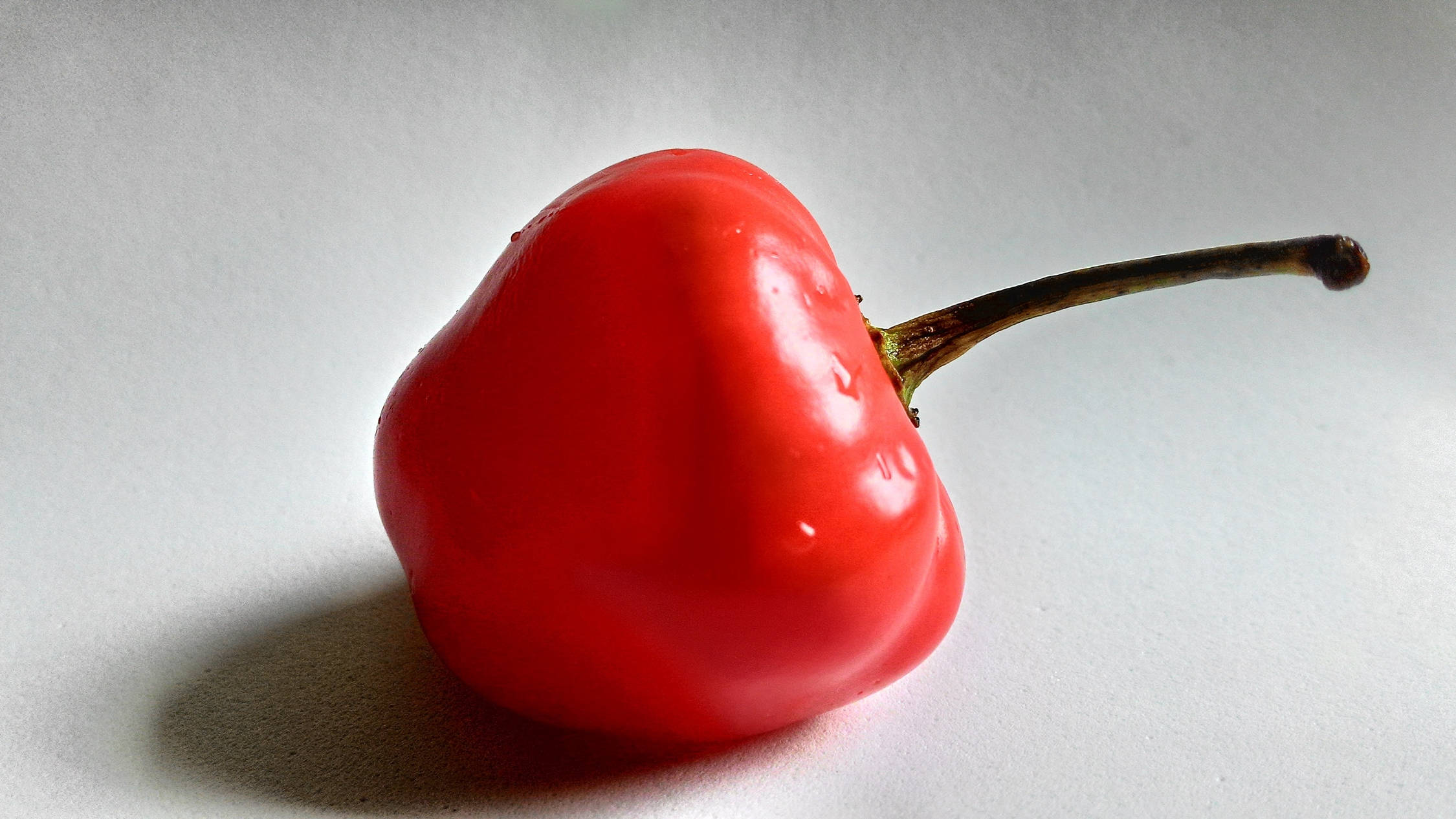 Fruit 桌布 壁紙 — 一個帶有彎曲莖的亮紅色甜椒放在白色平面上，投下柔和的陰影。