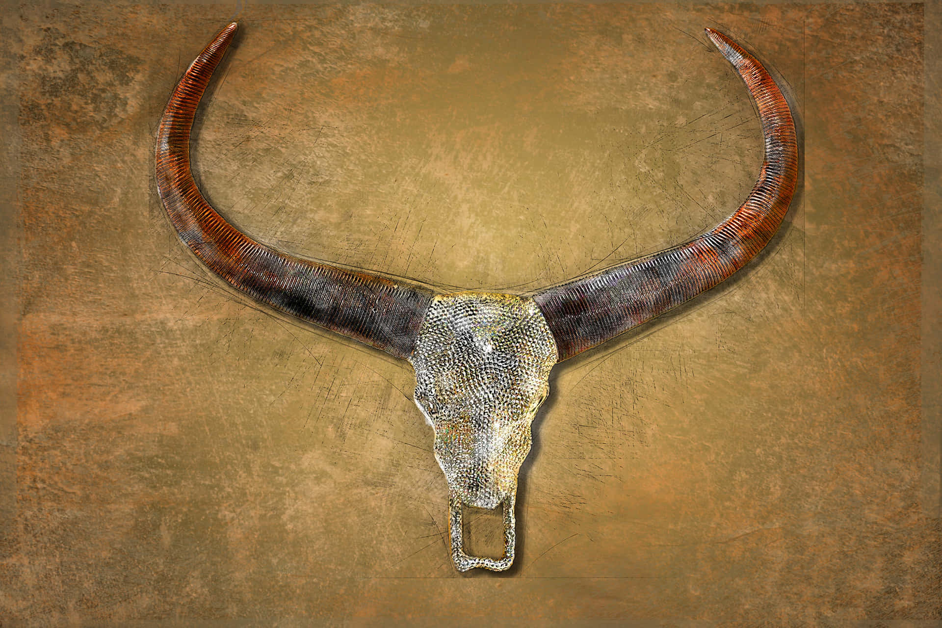 Longhorn Skull 桌布 壁紙 — 一個帶有彎曲角的紋理長角牛頭骨，安裝在質樸的棕色牆上。