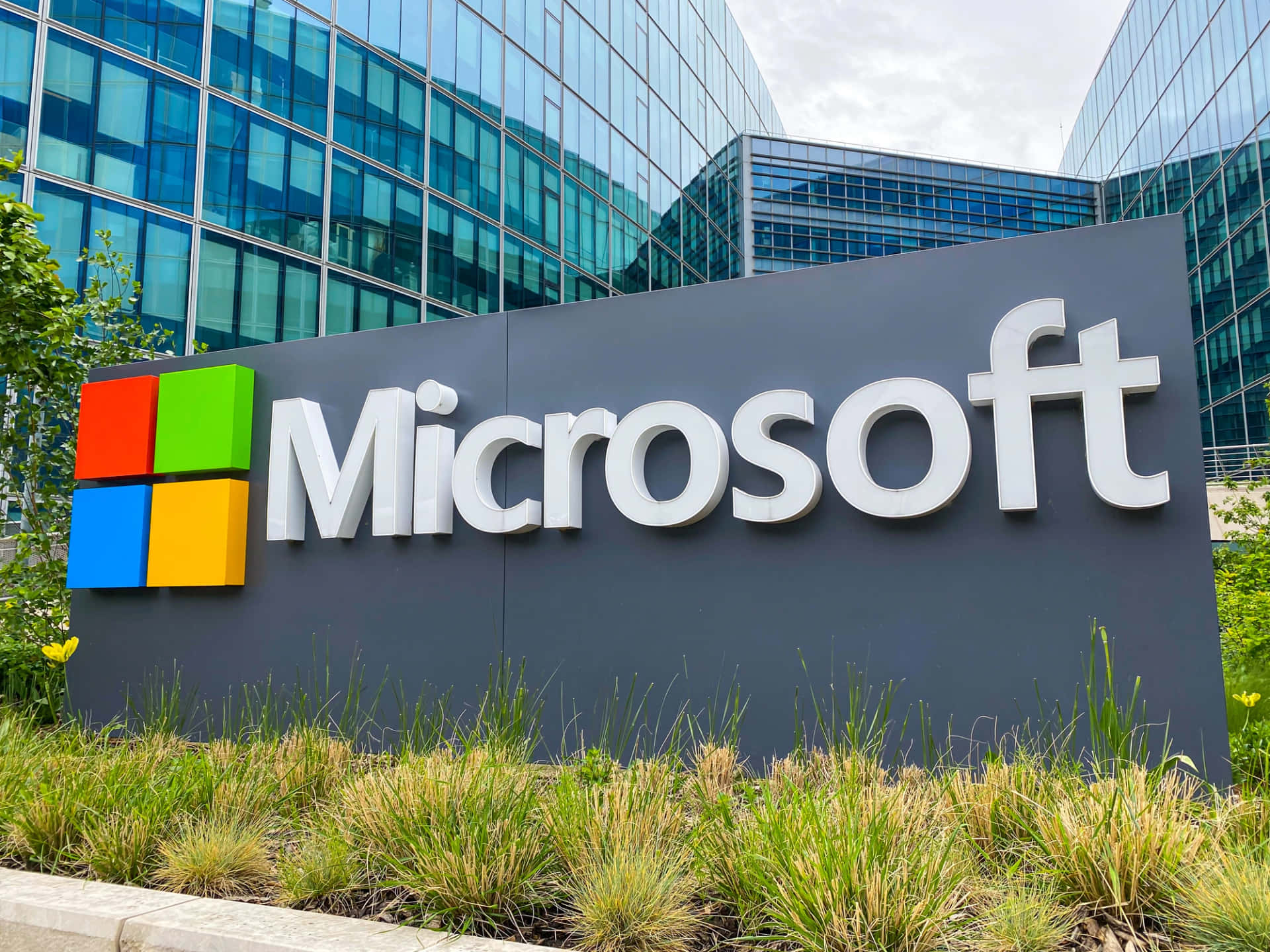 Microsoft企業標牌，位於玻璃辦公樓前，周圍有綠植。 — Microsoft 壁紙