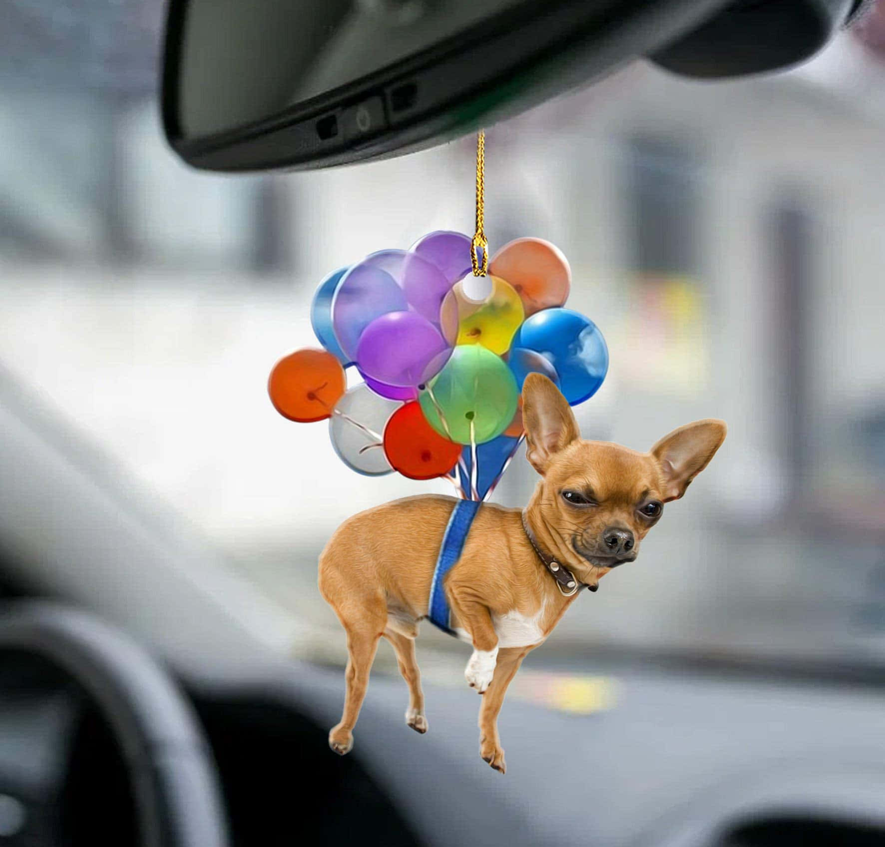 animals 桌布 壁紙 — 一個帶有彩色氣球的吉娃娃狗裝飾掛在汽車的後視鏡上。