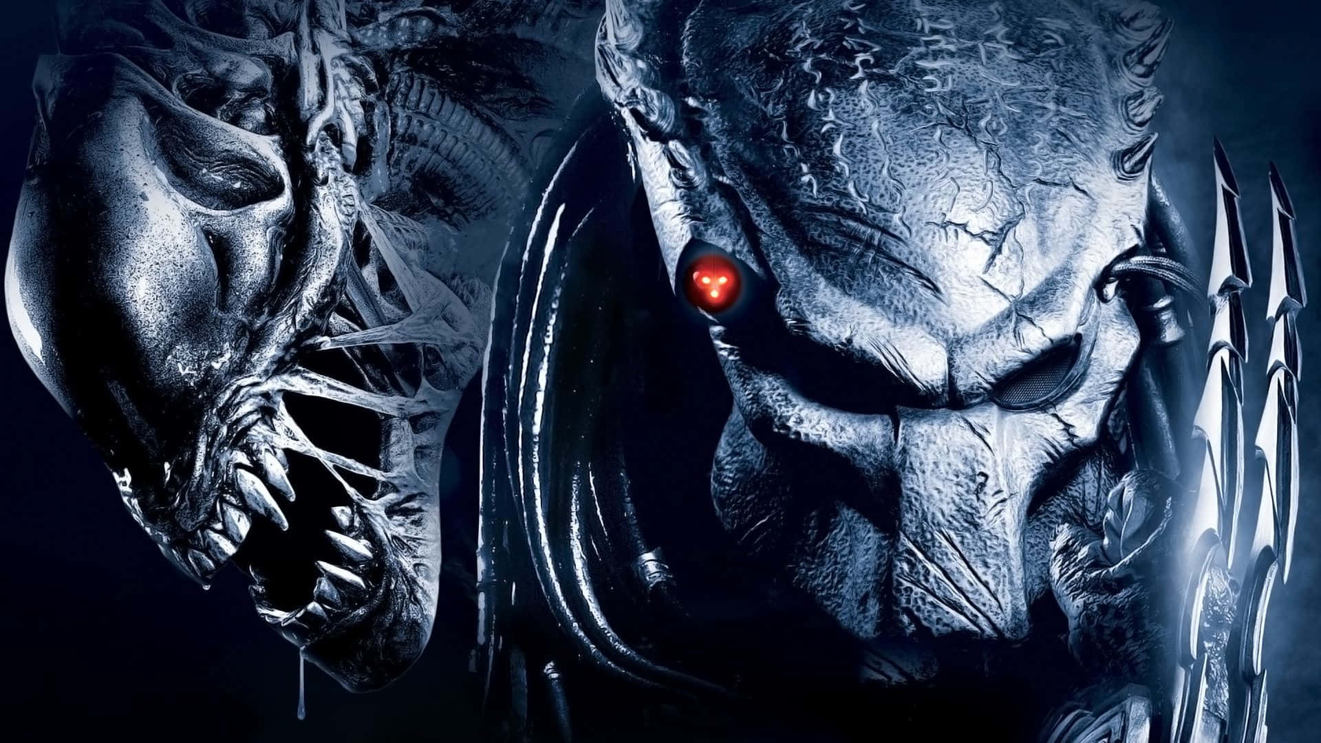 fiction 桌布 壁紙 — 一個帶有發光紅眼和生物機械裝甲的威脅性Predator，與一個擁有尖銳牙齒和滴落口水的怪異Alien對峙。
