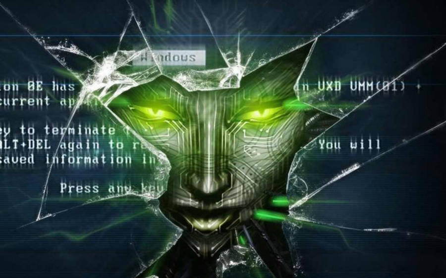 hacker 3d 桌布 壁紙 — 一個帶有發光綠色眼睛的機械貓臉，穿過一個顯示錯誤訊息的破碎數位螢幕。