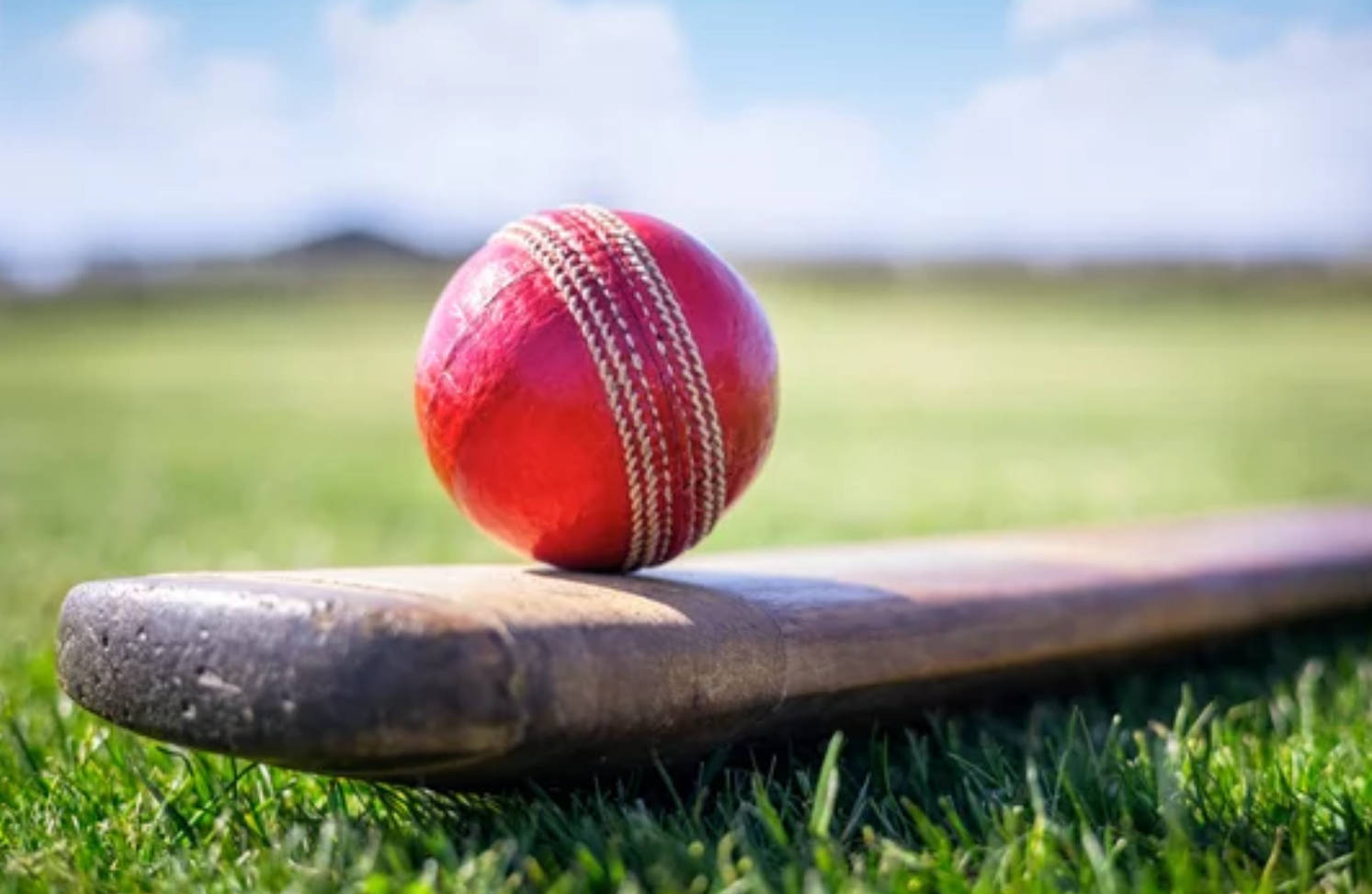 Cricket Ground 桌布 壁紙 — 一個帶有白色縫線的紅色板球放在一個磨損的木製球棒上，球棒躺在鮮綠色的草地上，上方是明亮的藍天。