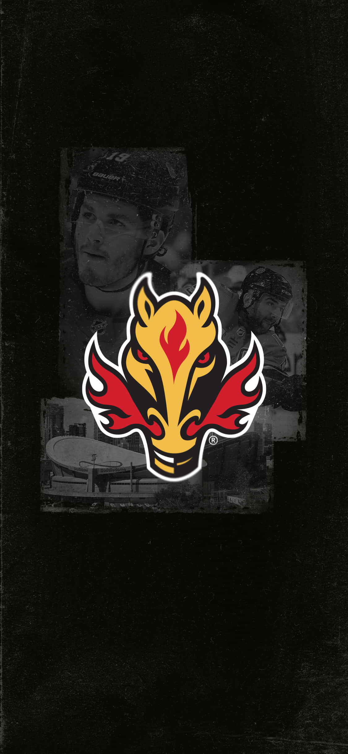Calgary Flames 桌布 壁紙 — 一個帶有白色輪廓的火紅黃色馬頭標誌，居中放置在帶有褪色曲棍球運動員照片的深色紋理背景上。