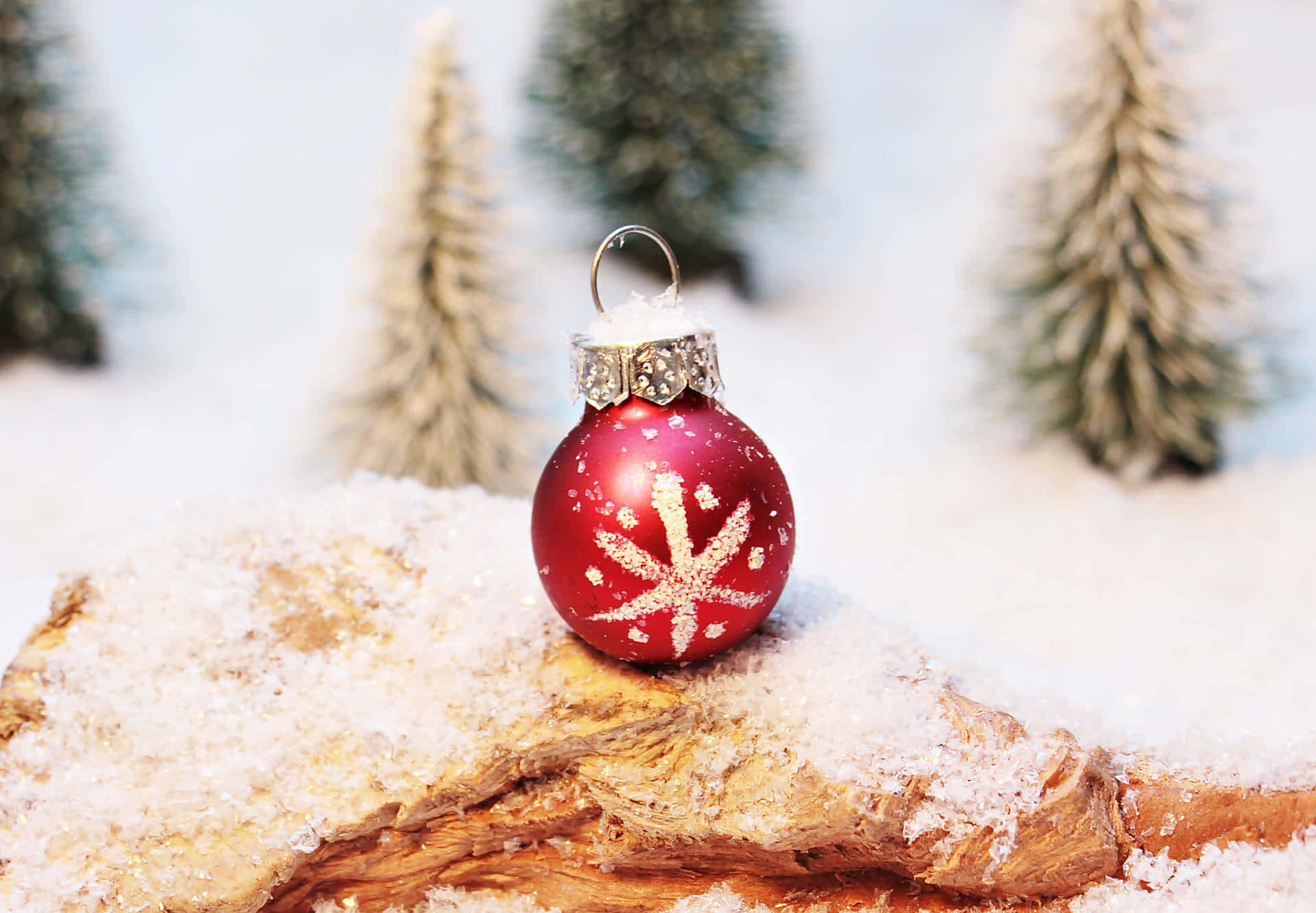 聖誕節 桌布 壁紙 — 一個帶有白色雪花圖案的亮面紅色聖誕裝飾品，放在一個灑滿雪的木頭上，周圍是迷你雪松樹。