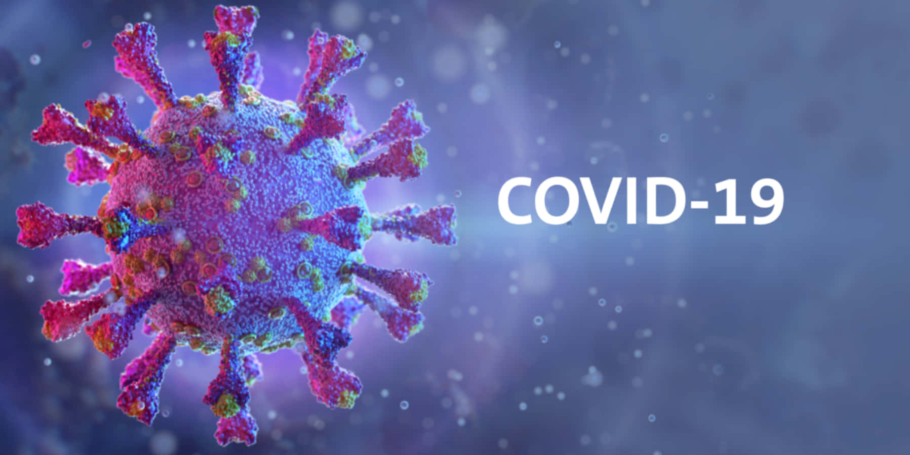 Covid 桌布 壁紙 — 一個帶有粉紅色和藍色尖刺的鮮豔3D渲染COVID-19病毒粒子，漂浮在發光的紫色背景上。