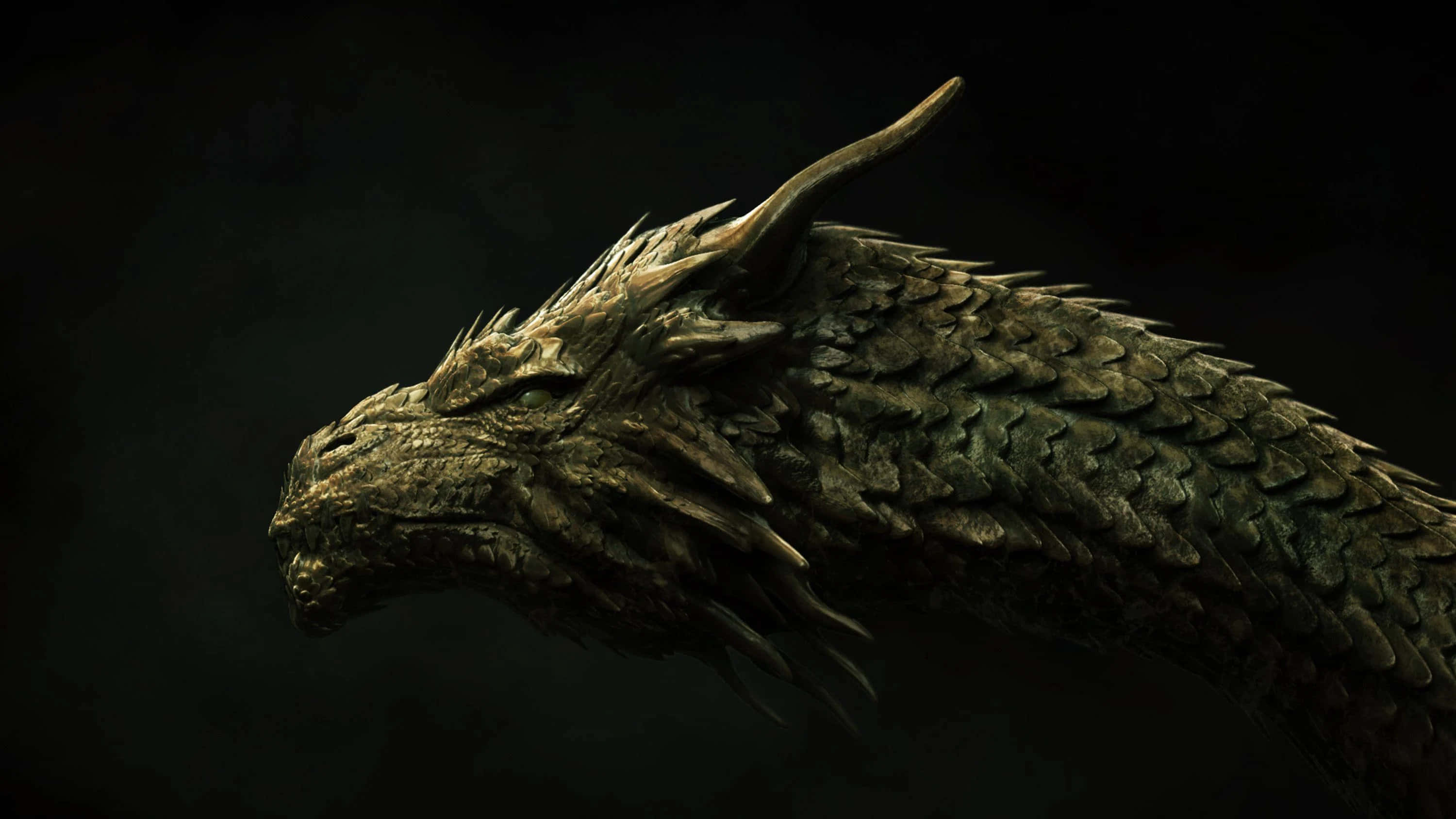 Dragon Profile 桌布 壁紙 — 一個帶有紋理鱗片和單角的威嚇龍頭，在黑暗背景下微微發光。