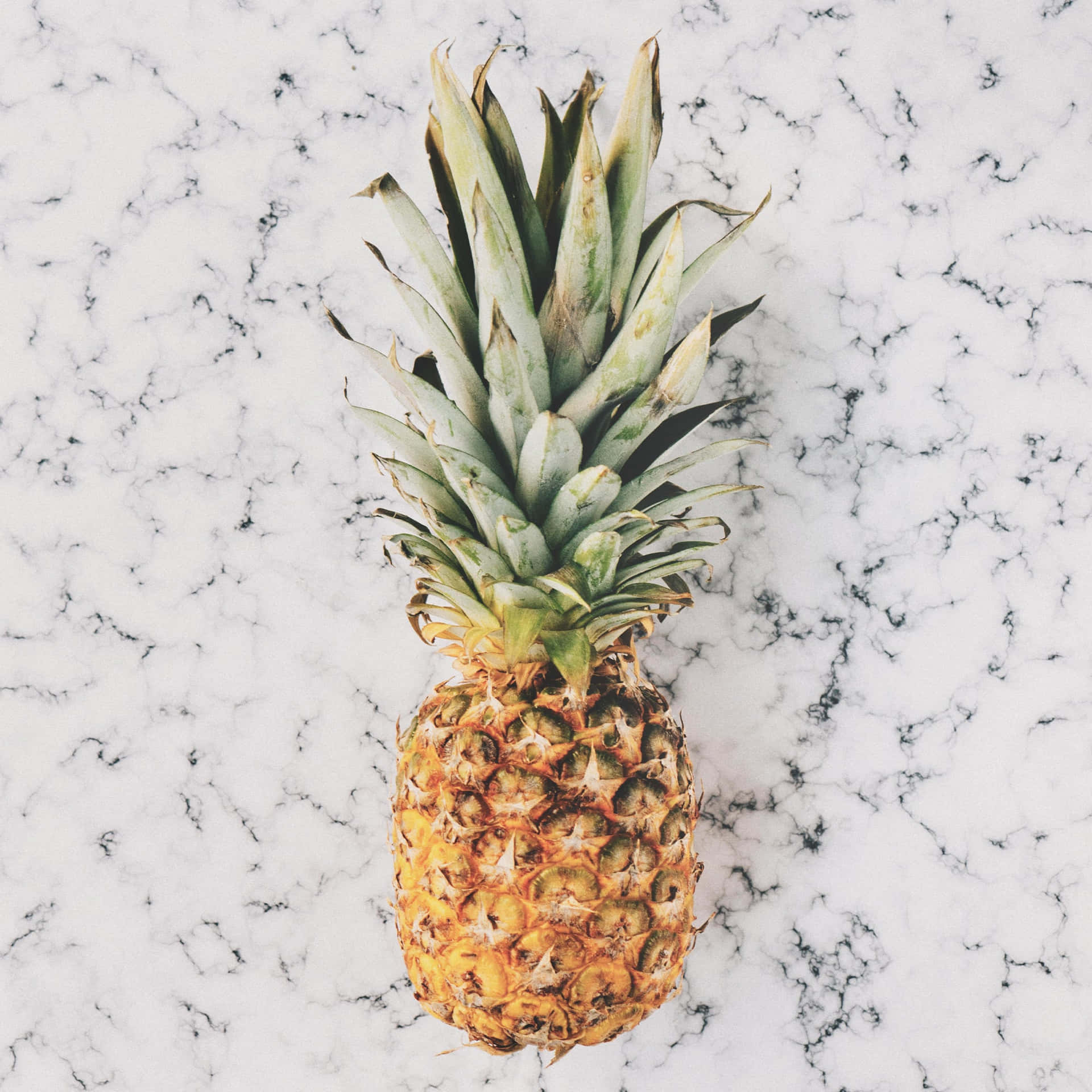 Fruit 桌布 壁紙 — 一個帶有綠色冠部的成熟鳳梨放在帶有黑色紋理的白色大理石表面上。