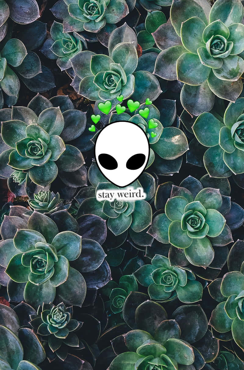 Plant 桌布 壁紙 — 一個帶有綠色心形的白色外星人頭部漂浮在茂密綠色花園中的多肉植物上方。