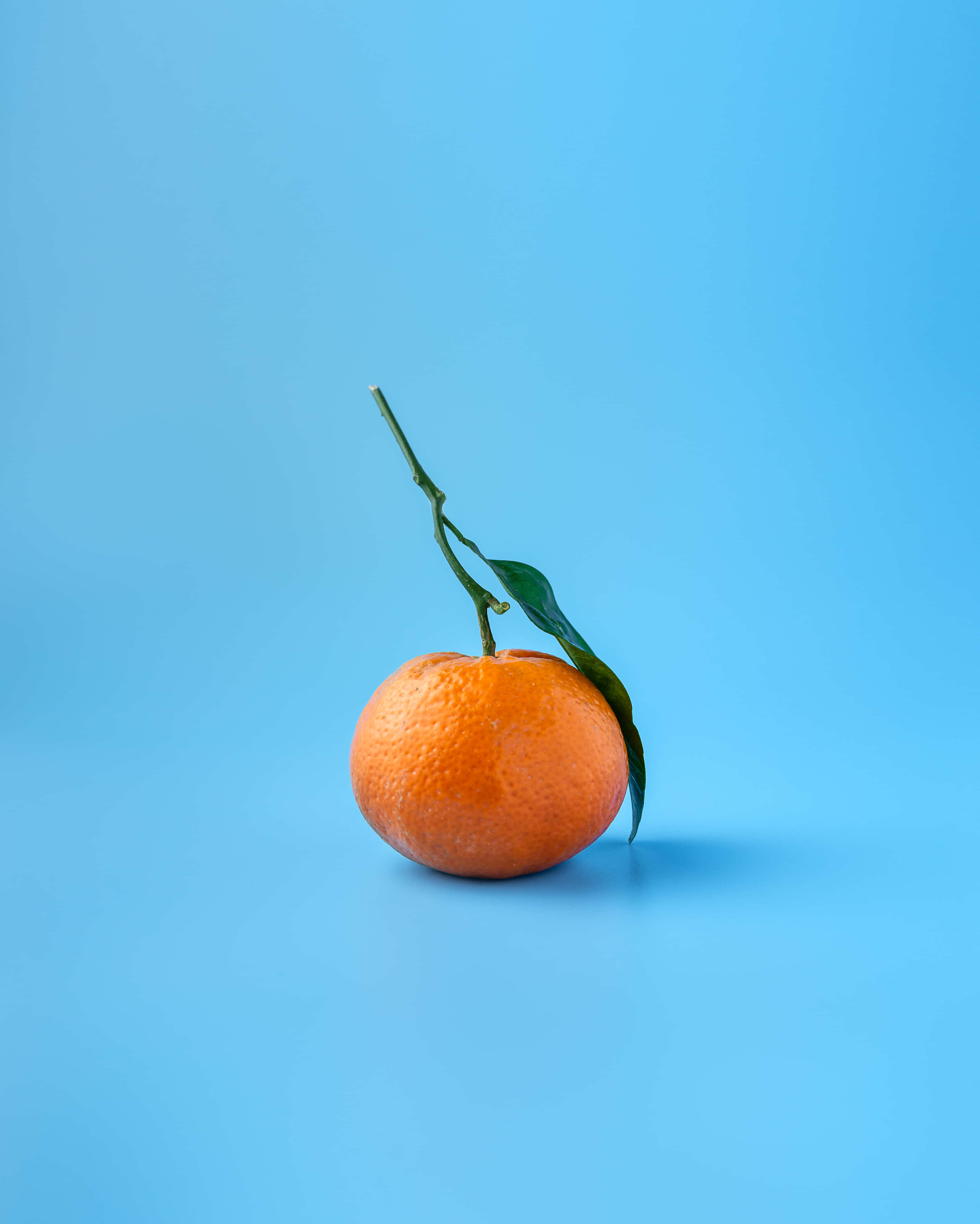Orange Fruit 桌布 壁紙 — 一個帶有綠色莖和葉的鮮豔橙子放在純藍色背景上。