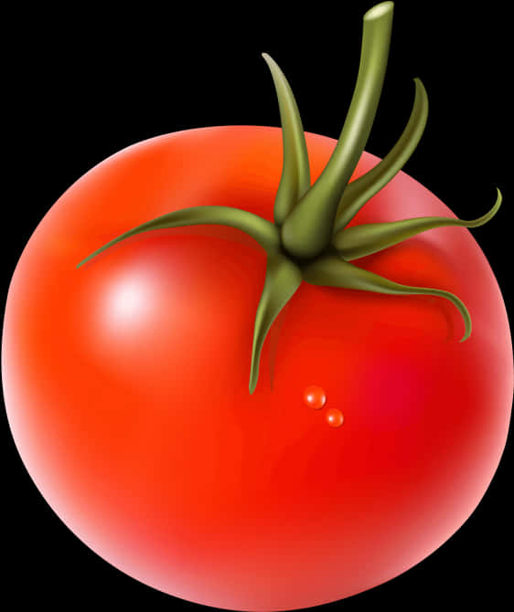 Tomato Plant 桌布 壁紙 — 一個帶有綠色莖和露珠的光澤成熟紅番茄，孤立在黑色背景上。