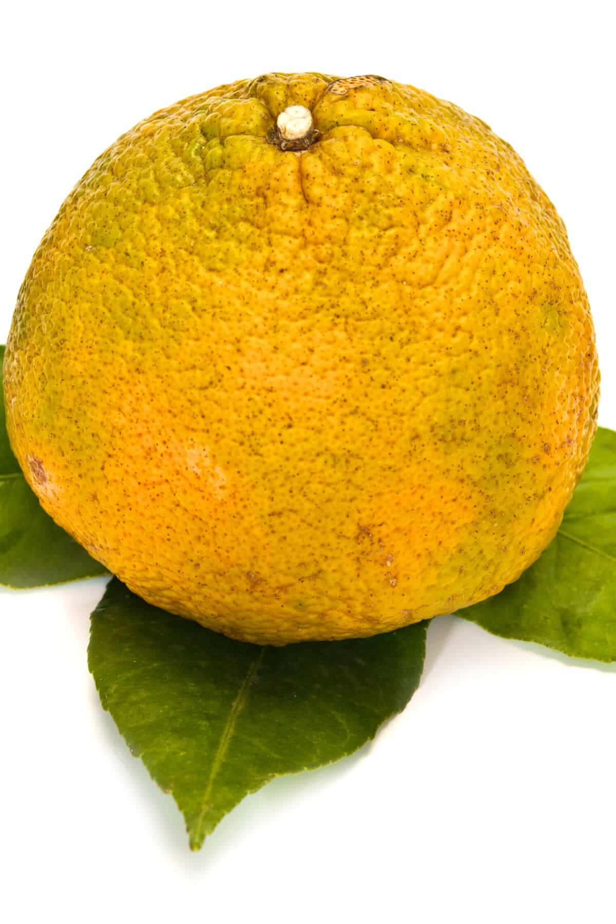 Fruits 桌布 壁紙 — 一個帶有綠色葉子的紋理橙子水果的特寫，背景為純白色。