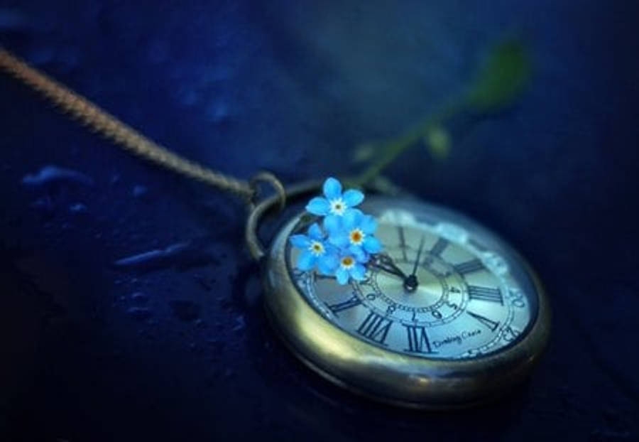 勿忘我花 桌布 壁紙 — 一個帶有羅馬數字的復古懷錶放在深色表面上，點綴著精緻的藍色勿忘我花。