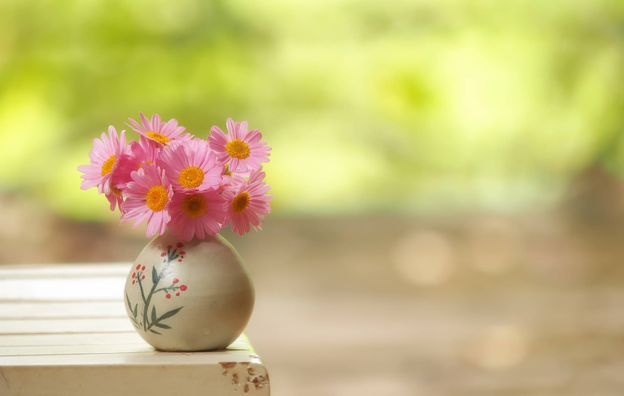 Flowers 桌布 壁紙 — 一個帶有花卉圖案的陶瓷花瓶，在柔和的綠色模糊背景前，木質表面上插著粉紅色的雛菊。