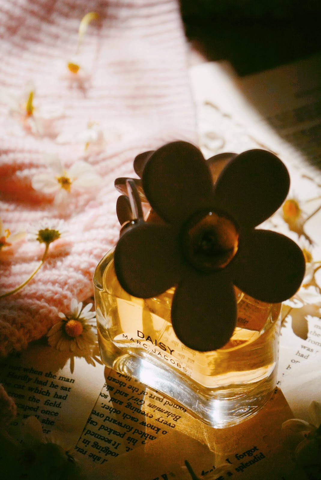 馬克·雅可布 桌布 壁紙 — 一個帶有花朵瓶蓋的 Marc Jacobs Daisy 香水瓶放在打開的書頁上，旁邊有一條粉紅色針織毯子和散落的雛菊。