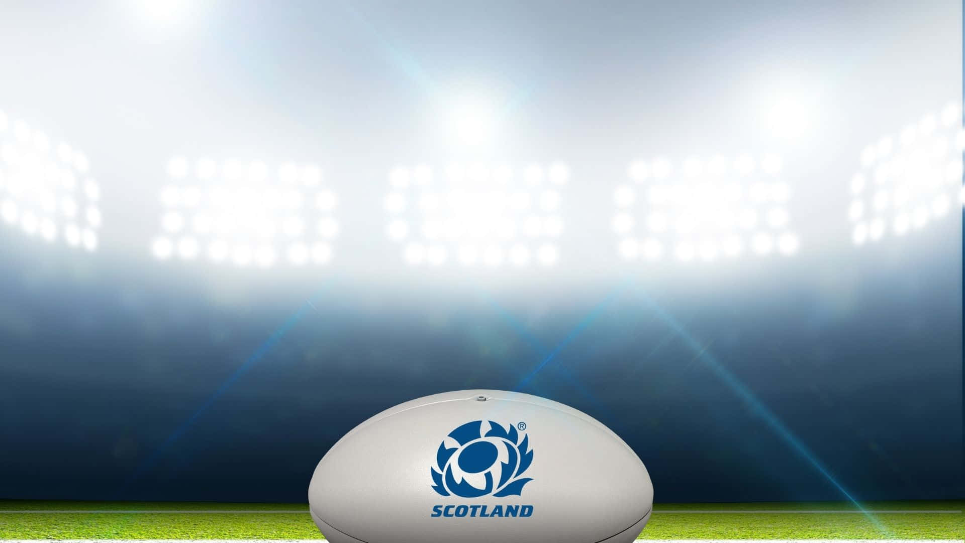 Scotland Rugby 桌布 壁紙 — 一個帶有蘇格蘭標誌的白色橄欖球，在明亮的體育場燈光下，放置在充滿活力的綠色草地上。