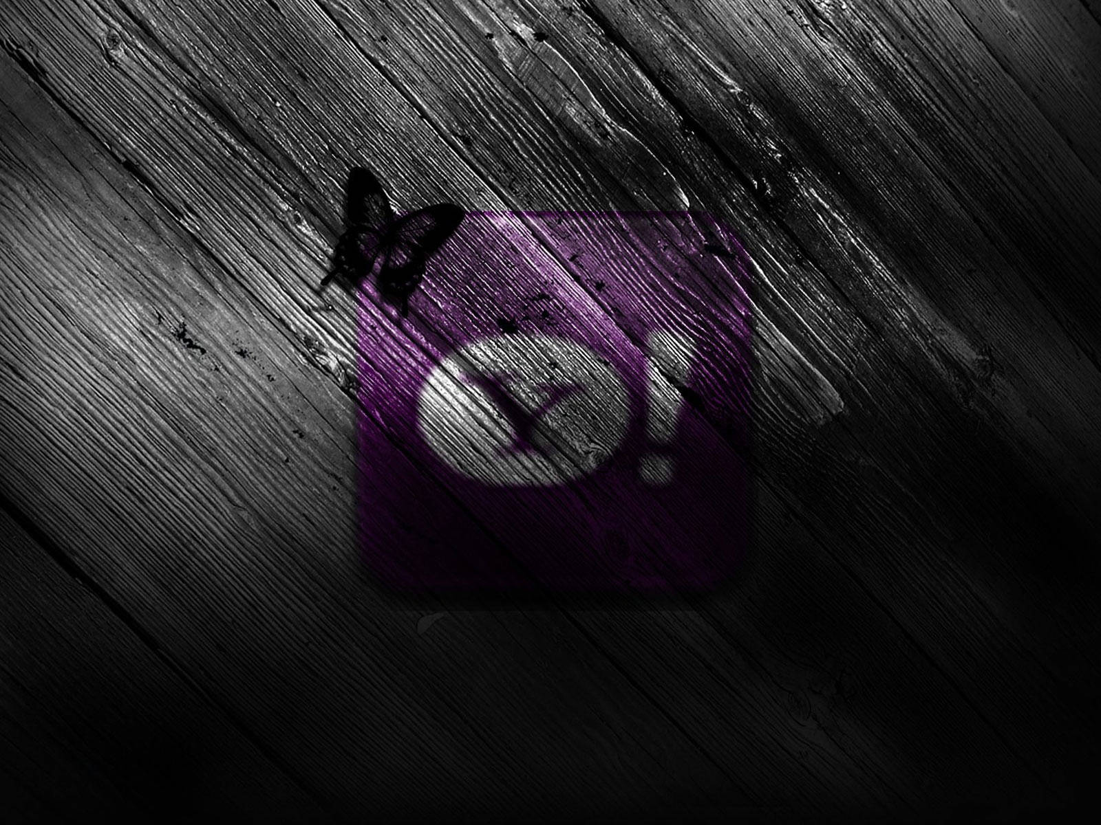 Yahoo Mail 桌布 壁紙 — 一個帶有蝴蝶的紫色Yahoo!標誌，在戲劇性燈光下放置於深色風化木板上。