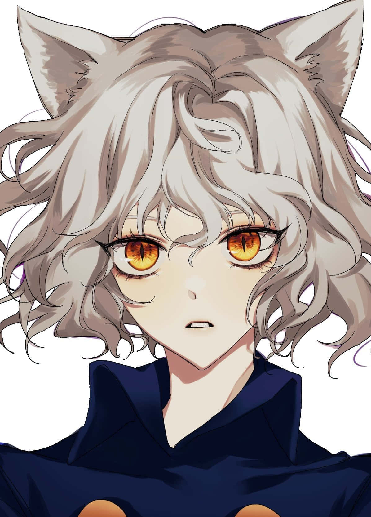 Neferpitou 桌布 壁紙 — 一個帶有貓耳和火橙色眼睛的動漫角色特寫，在純白背景上凝視著。