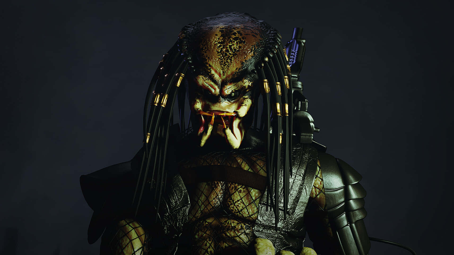 Wolf Predator 桌布 壁紙 — 一個帶有辮子和盔甲的威脅性鐵血戰士戰士，在黑暗背景下強烈凝視。