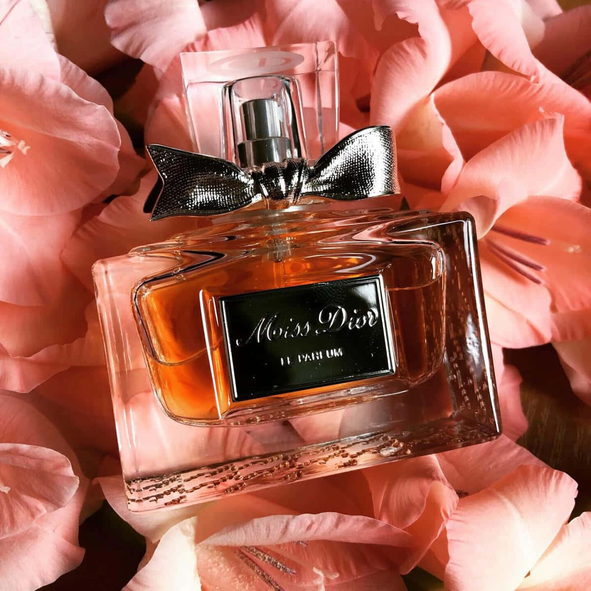 Dior 動態 桌布 壁紙 — 一個帶有黑色蝴蝶結的 Miss Dior 香水瓶優雅地躺在柔軟的粉紅色玫瑰花瓣中。