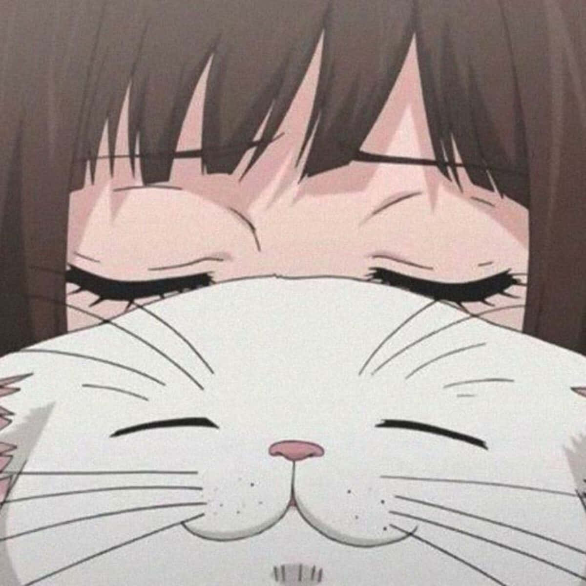 Cat Pfp 桌布 壁紙 — 一個平靜的動漫女孩閉著眼睛，溫柔地擁抱一隻同樣閉著眼睛、滿足的白貓。