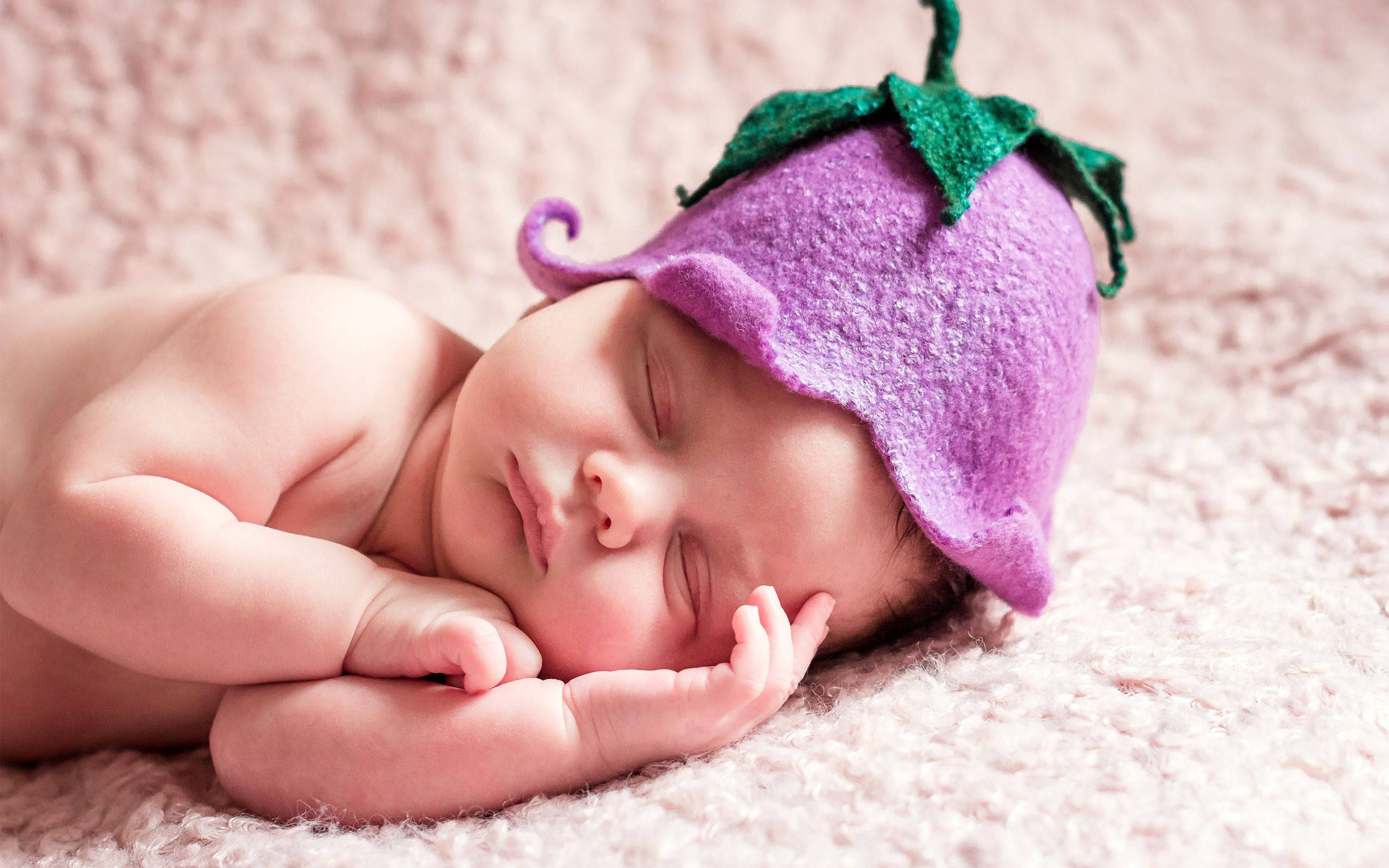 Baby Girl 桌布 壁紙 — 一個平靜的新生嬰兒在柔軟的粉紅色紋理毛毯上，戴著紫色氈帽茄子帽，安穩地睡著。