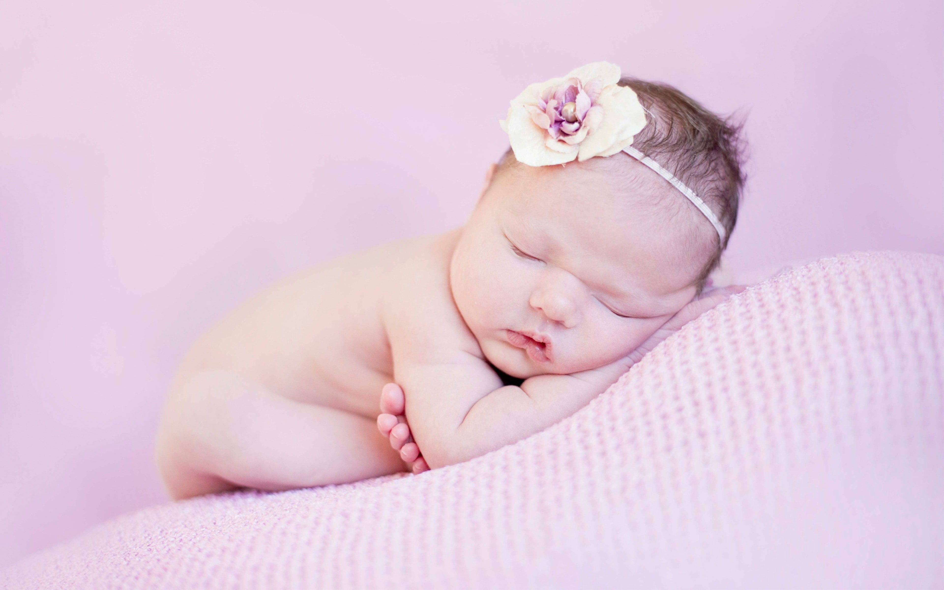 Baby Girl 桌布 壁紙 — 一個平靜的新生嬰兒在柔軟的粉紅色紋理毛毯上安詳地睡覺，毛毯上飾有精緻的花卉頭帶。