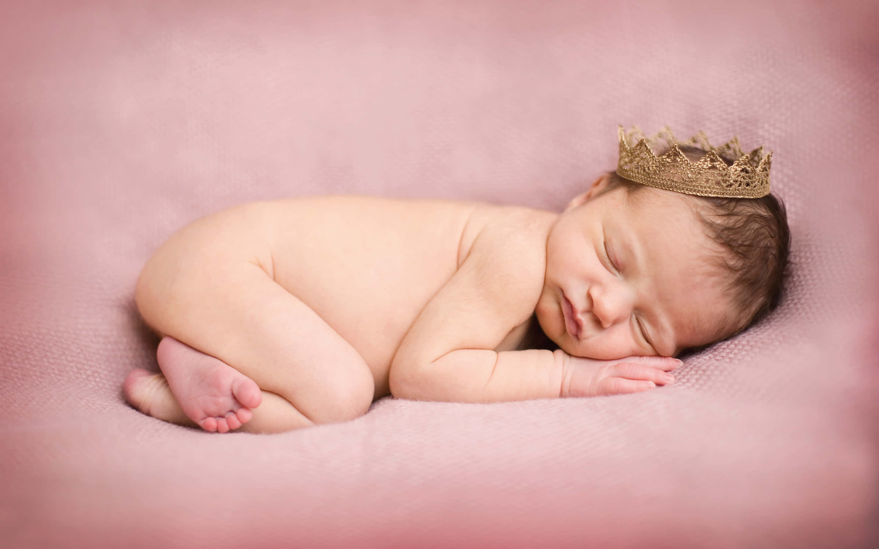 Infant 桌布 壁紙 — 一個平靜的新生嬰兒蜷縮在柔軟的粉紅色紋理毛毯上睡覺，戴著精緻的金色皇冠。