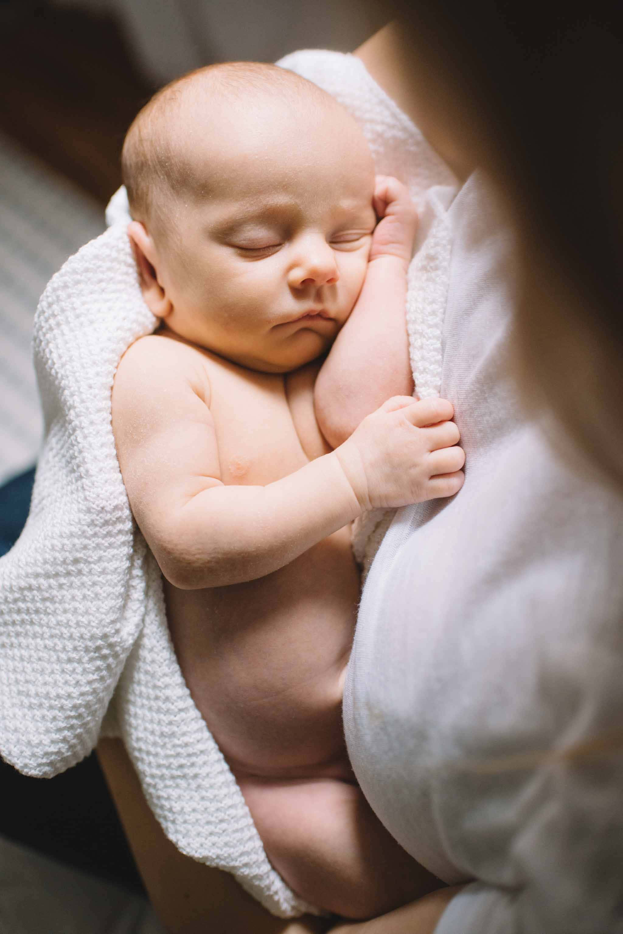 Infant 桌布 壁紙 — 一個平靜的新生嬰兒被父母輕輕抱著，包裹在柔軟的白色質感毛毯中安睡。