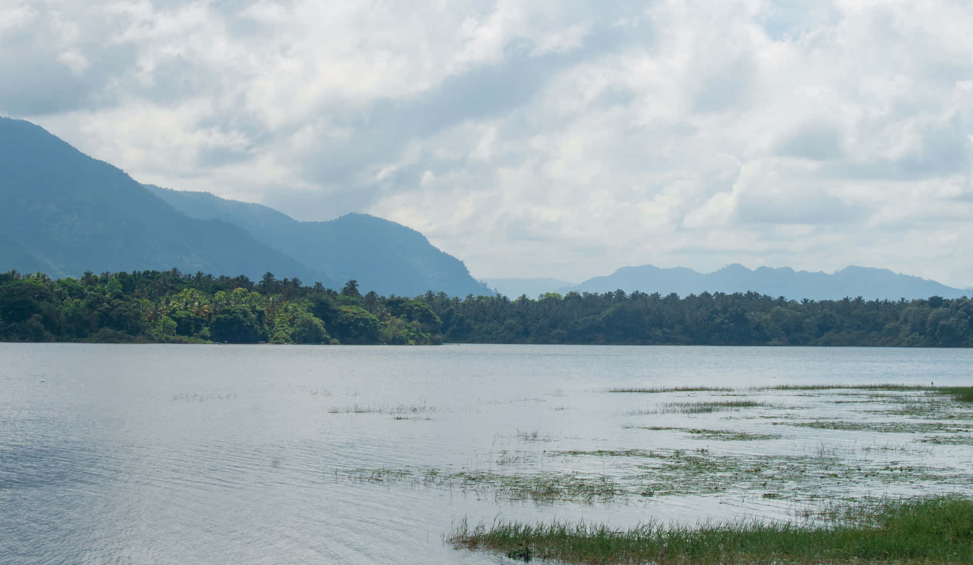 Serene Lake and Mountain Landscape 壁紙 — 一個平靜的湖泊點綴著蘆葦，延伸至森林覆蓋的湖岸，遠處有山脈，天空多雲。