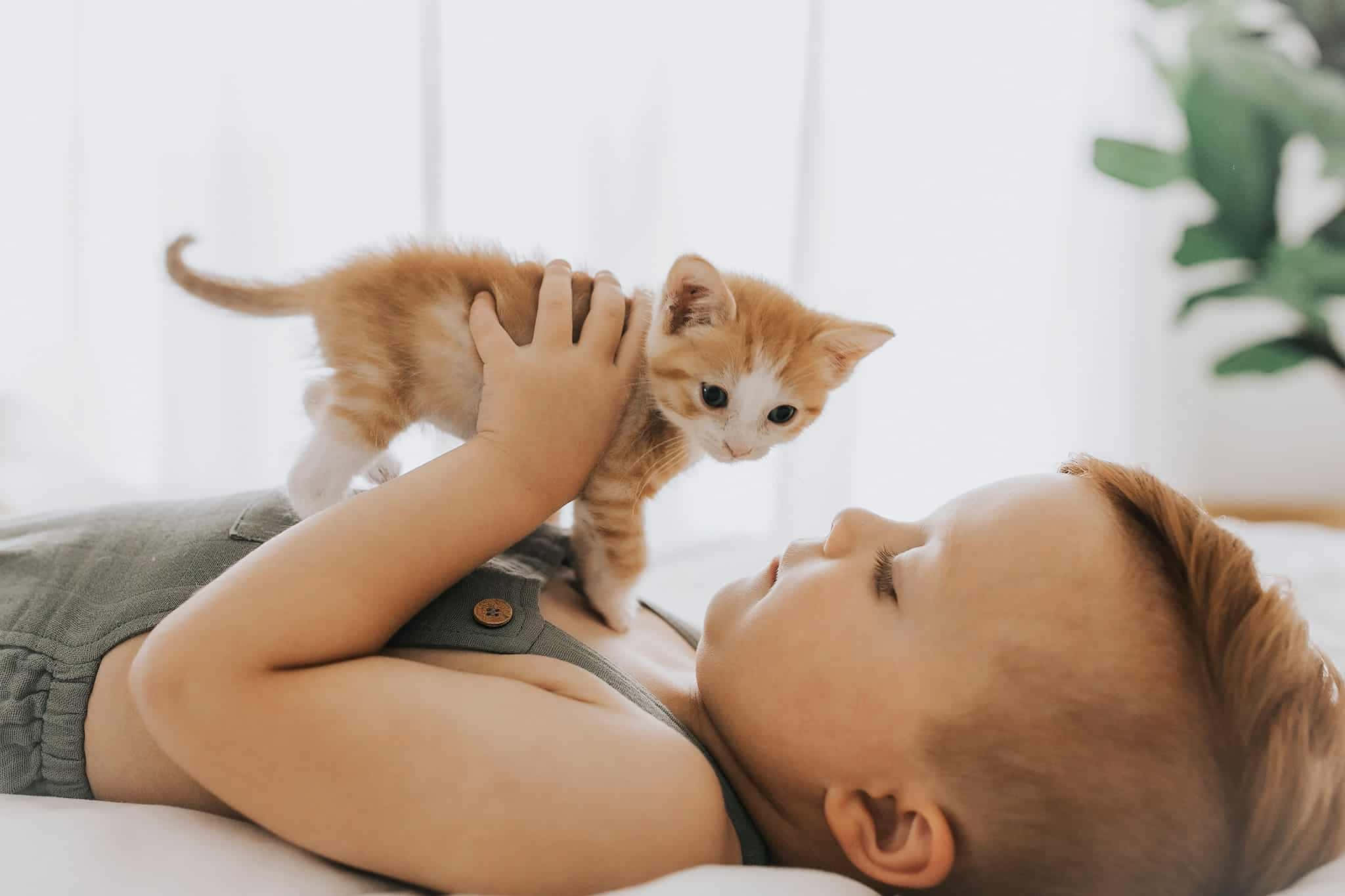 cute kitty 桌布 壁紙 — 一個年幼的孩子仰臥著，輕輕抱著一隻橙白色的小貓咪，小貓咪睜大眼睛低頭看著他們。