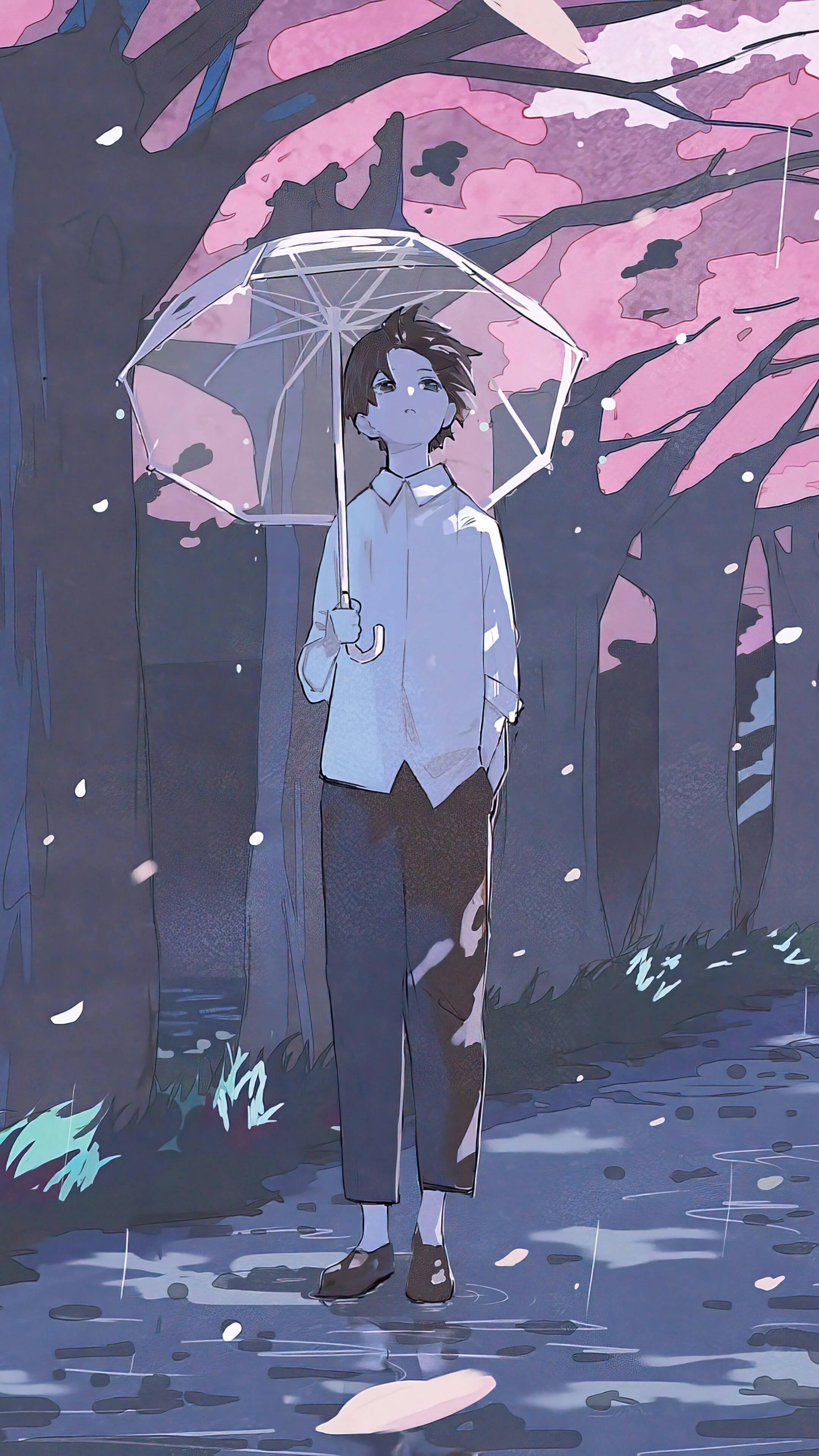Aesthetic Anime Boy 桌布 壁紙 — 一個年輕人在黃昏時分的雨林中，手持透明雨傘，站在飄落的粉紅櫻花下。