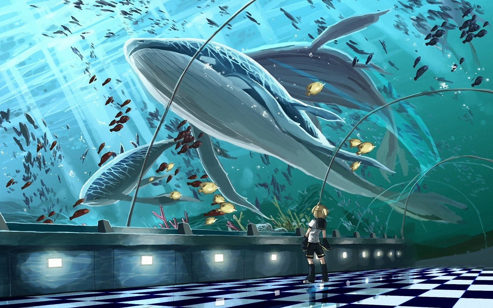 Aquarium 桌布 壁紙 — 一個年輕女孩站在棋盤格地板上，仰望在陽光照射的水族館中游動的巨大鯨魚，水族館裡充滿了魚群。