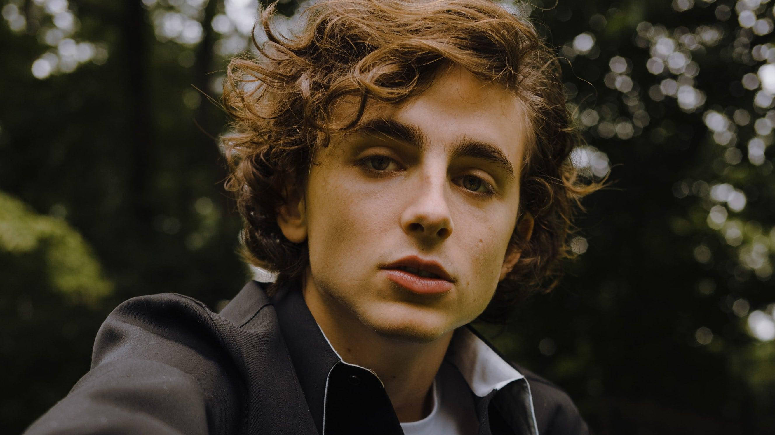 Timothée Chalamet 桌布 壁紙 — 一個年輕男子，一頭凌亂的棕色捲髮，在柔和模糊的森林背景下，專注地凝視著鏡頭。