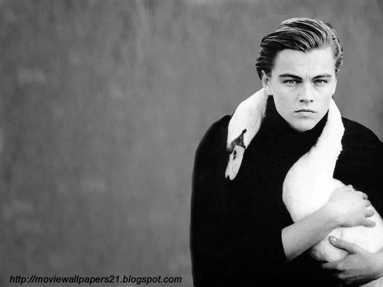 Dicaprio 桌布 壁紙 — 一個年輕男子在紋理灰色背景前抱著一隻白天鵝的黑白肖像。