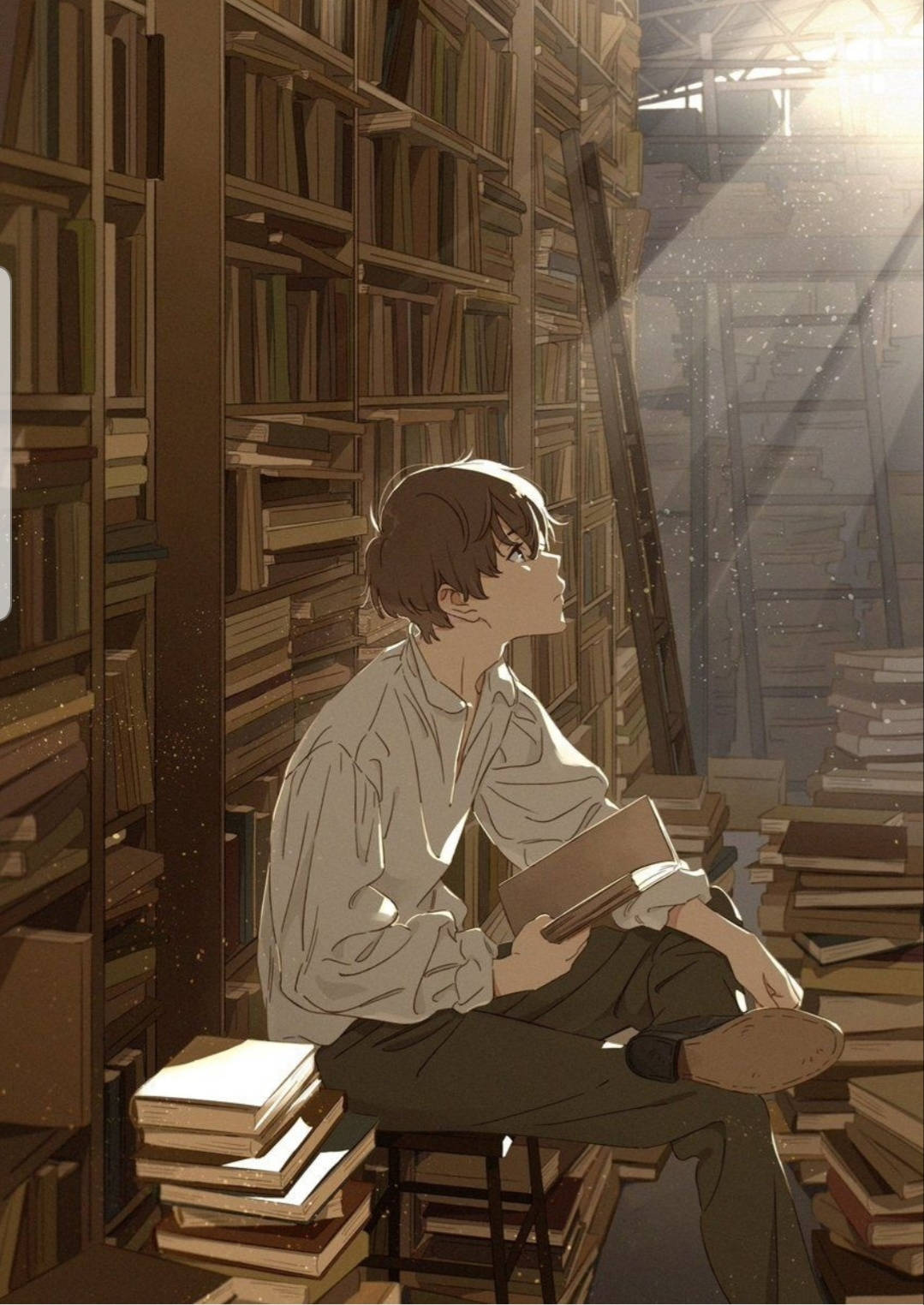 動漫美少年 桌布 壁紙 — 一個年輕男子坐在陽光普照的圖書館中，四周是高聳的書架，沐浴在從高窗灑進的溫暖金色光線中。