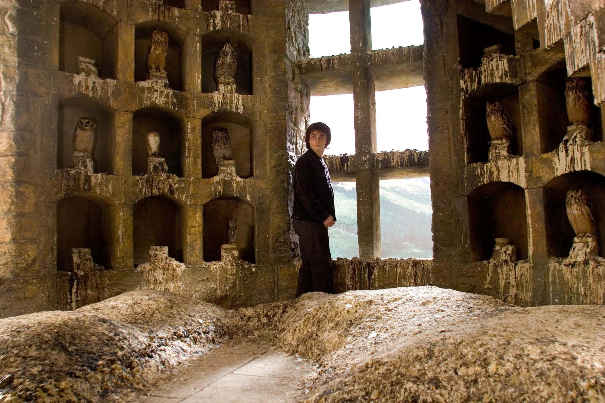 The Hogwarts Owlery 桌布 壁紙 — 一個年輕男子站在一個風化的石結構內，裡面充滿了貓頭鷹雕像和 crumbling niches。