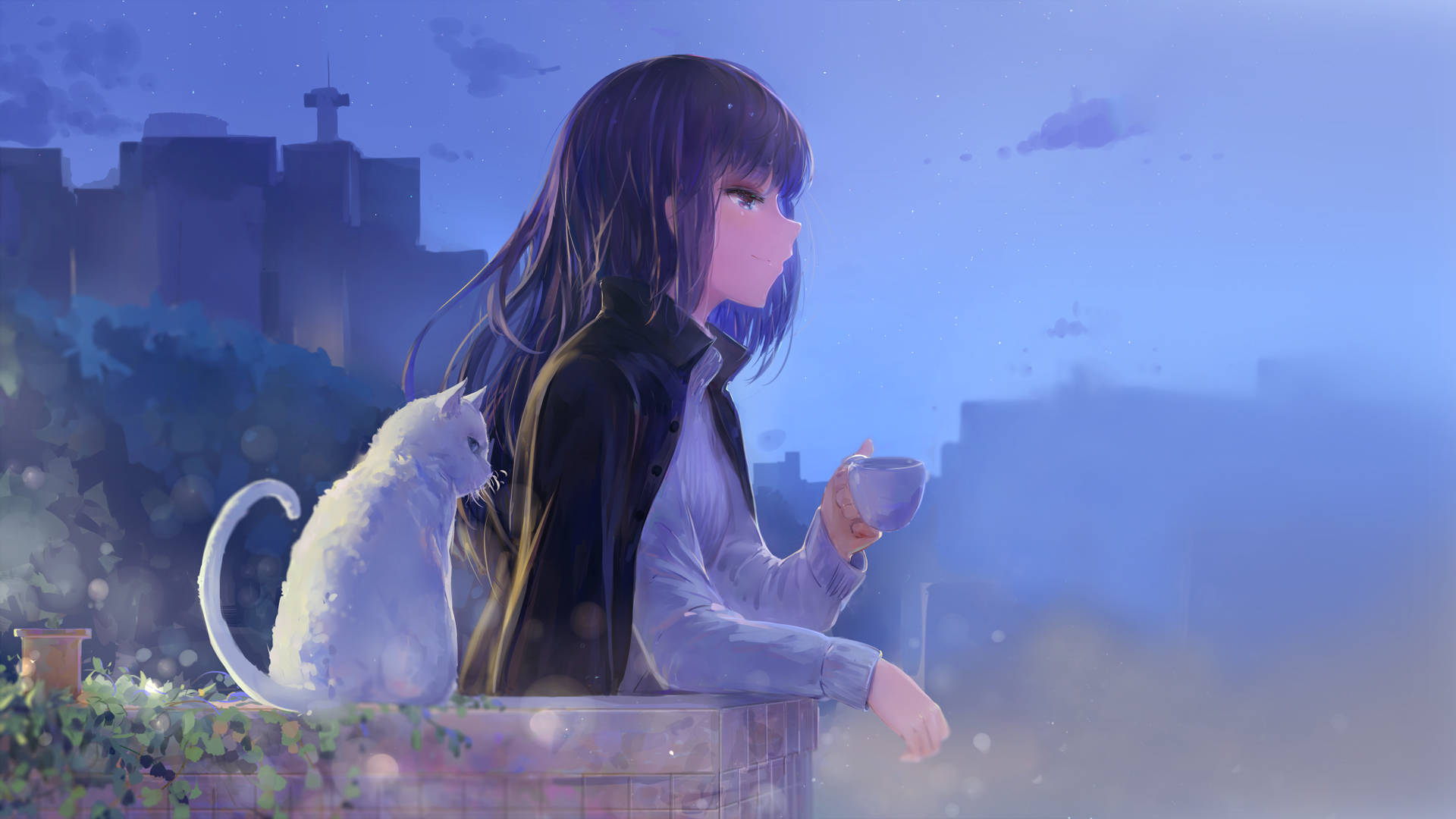 動漫藝術GIF 桌布 壁紙 — 一個年輕的動漫女孩，長長的黑髮，坐在屋頂上，旁邊有一隻白貓，手裡拿著杯子，城市建築在暮色薄霧中漸漸消失。