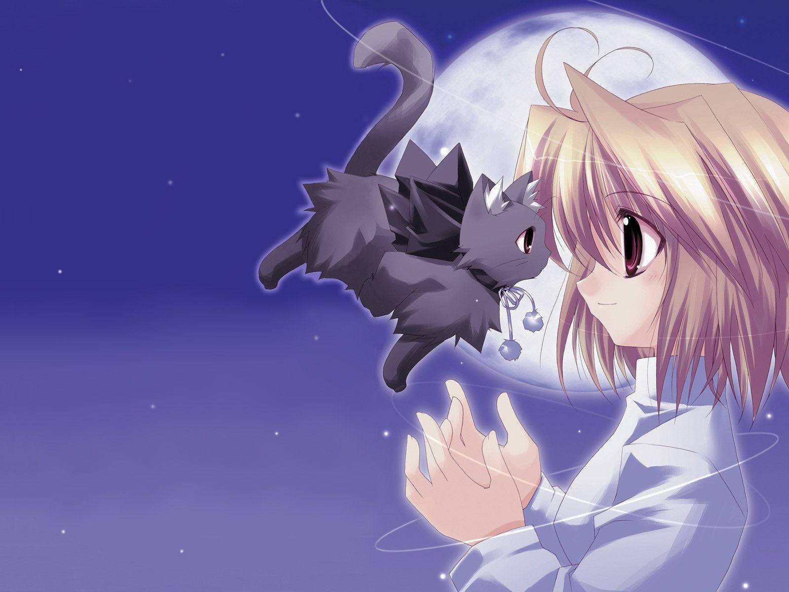 可愛動漫 桌布 壁紙 — 一個年輕的動漫女孩戴著貓耳朵，在滿月的星空下輕輕地伸手去夠一隻漂浮的黑貓。