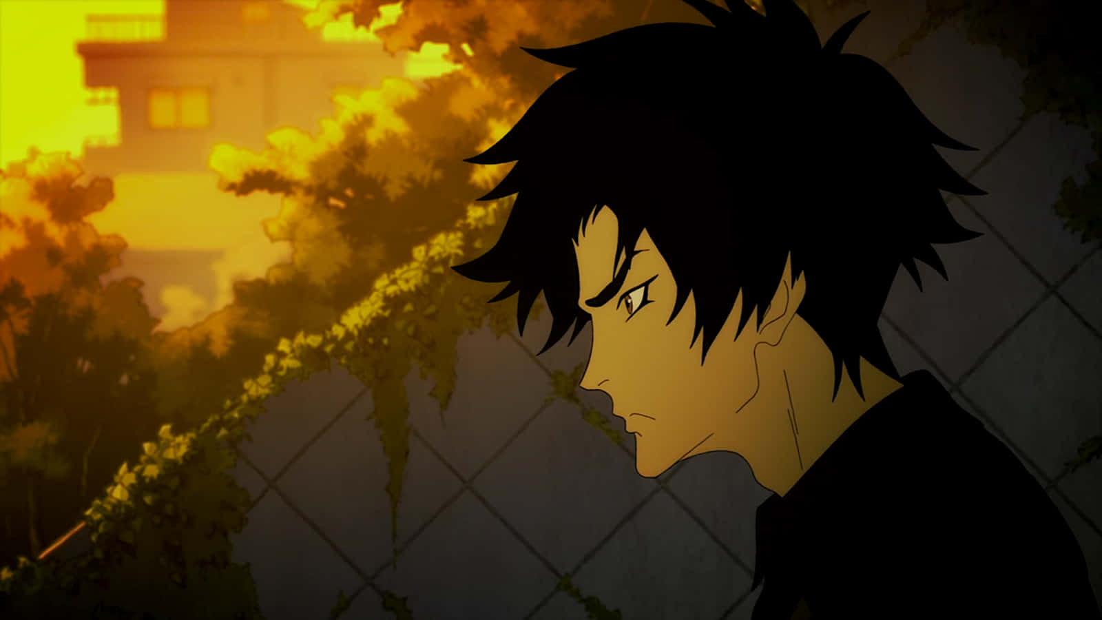 Devilman Crybaby 桌布 壁紙 — 一個年輕的動漫男孩側身站在鐵絲網圍欄前，金色的夕陽灑在他身後的樹木和建築物上。