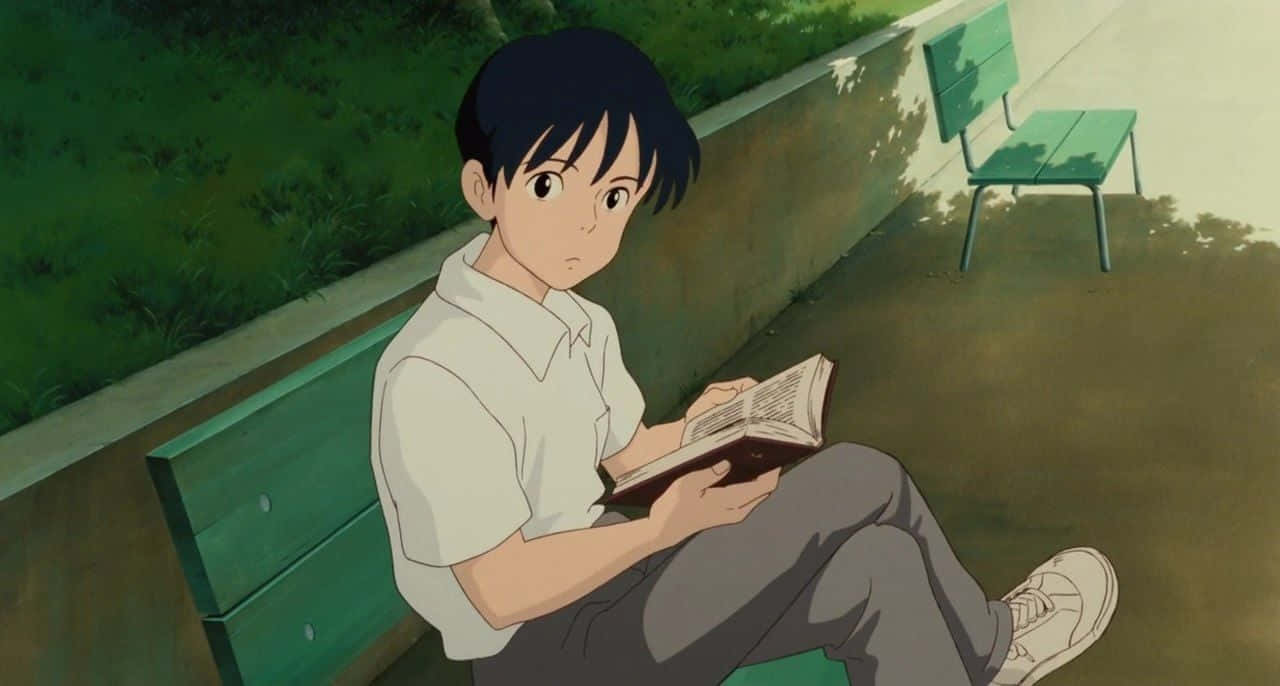Studio Ghibli Ocean Waves 桌布 壁紙 — 一個年輕的動漫男孩坐在綠色長椅上，在溫暖的午後陽光下看書，附近有樹木和另一張長椅。