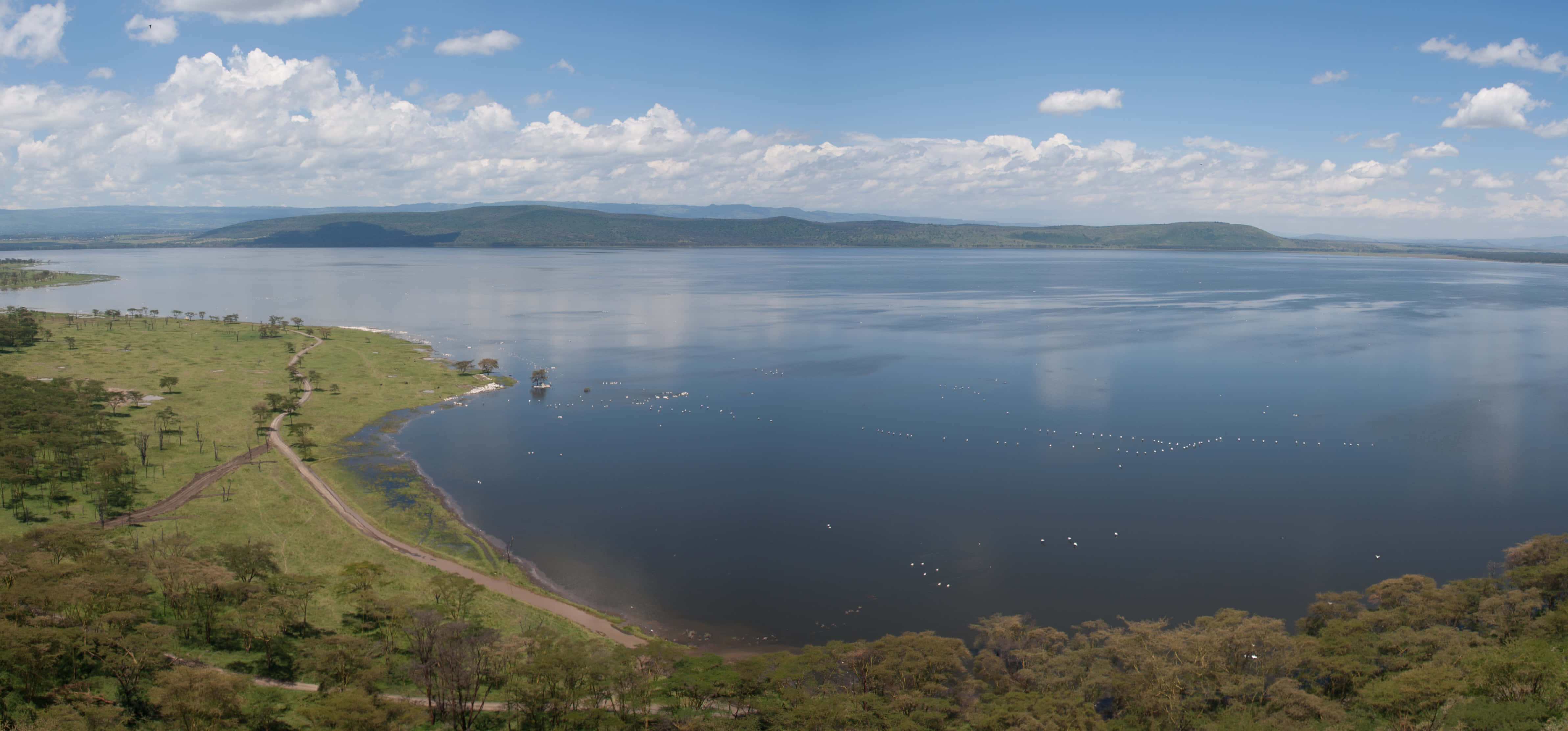 Lake 桌布 壁紙 — 一個廣闊寧靜的湖泊在明亮的藍天下延伸，蓬鬆的白雲倒映在平靜的水面上，周圍是茂密的綠色稀樹草原和遠山。