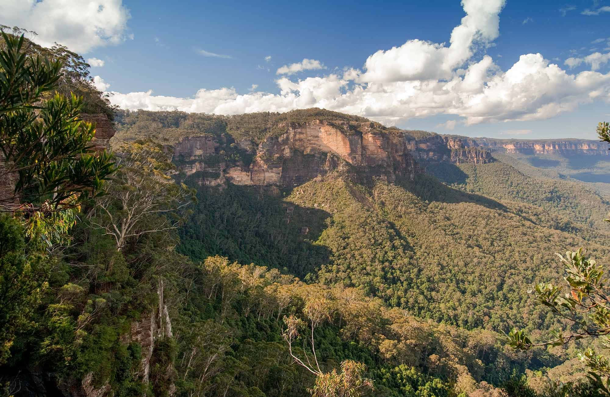Blue Mountains National Park 桌布 壁紙 — 一個廣闊的森林山谷，高聳的懸崖在明亮的藍天下，點綴著蓬鬆的白雲，景色令人嘆為觀止。