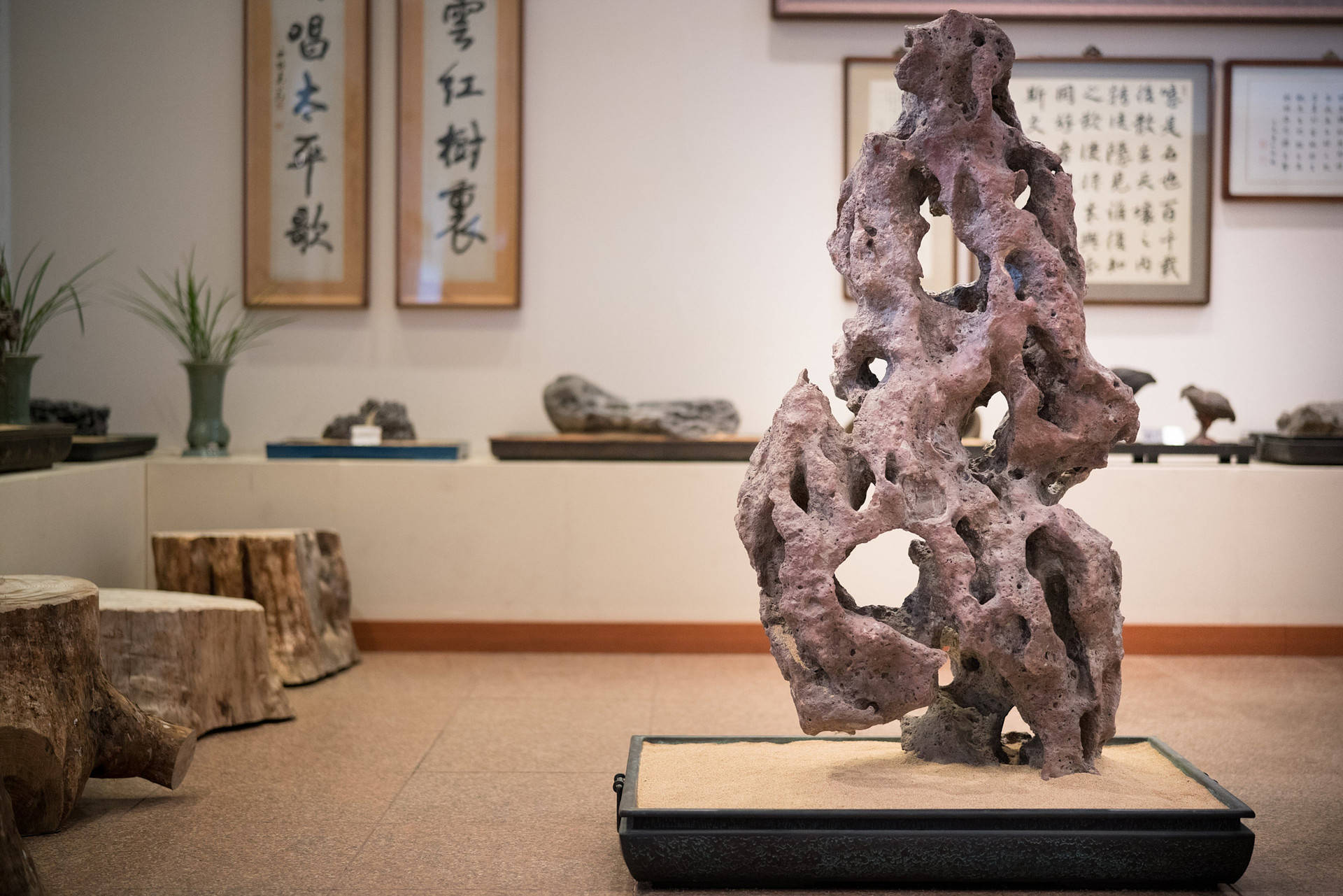 Jeju 桌布 壁紙 — 一個引人注目的多孔粉紅色岩石雕塑矗立在黑色基座上，位於一個裝飾著裱框書法和木凳的寧靜畫廊中。