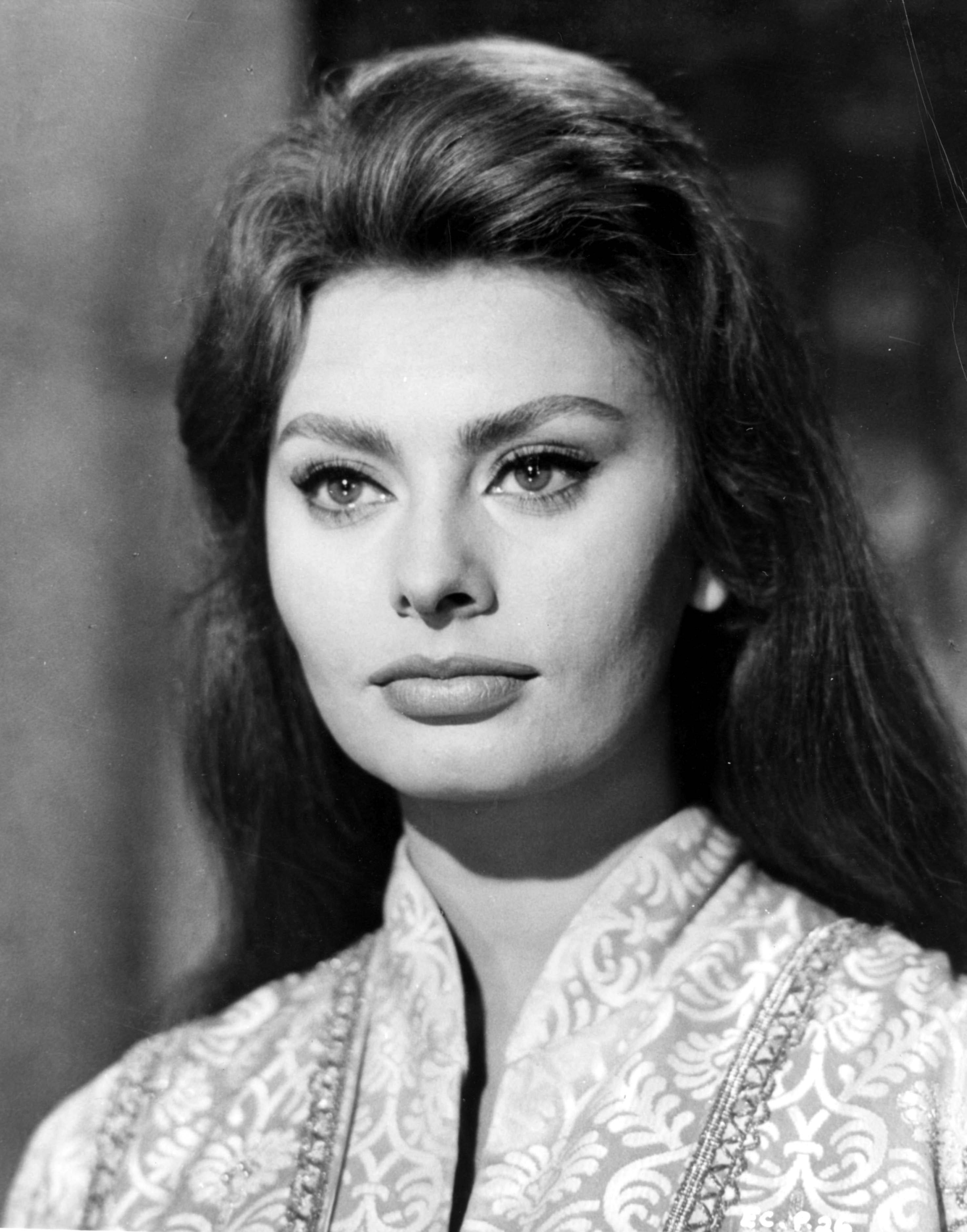 Sophia Loren 桌布 壁紙 — 一個引人注目的黑白肖像，一位擁有豐盈頭髮和銳利眼神的女性，穿著華麗圖案的服裝。