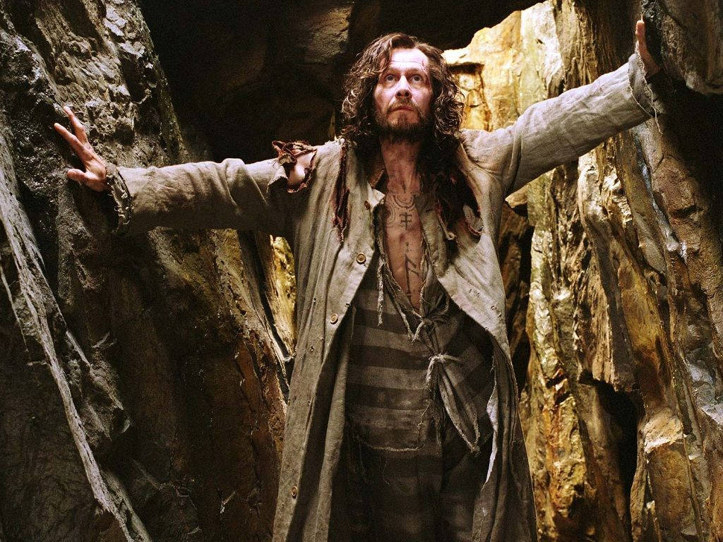 Sirius 桌布 壁紙 — 一個強壯的男人，長頭髮和紋身，站在岩石洞穴中，伸開手臂，穿著破爛的衣服。