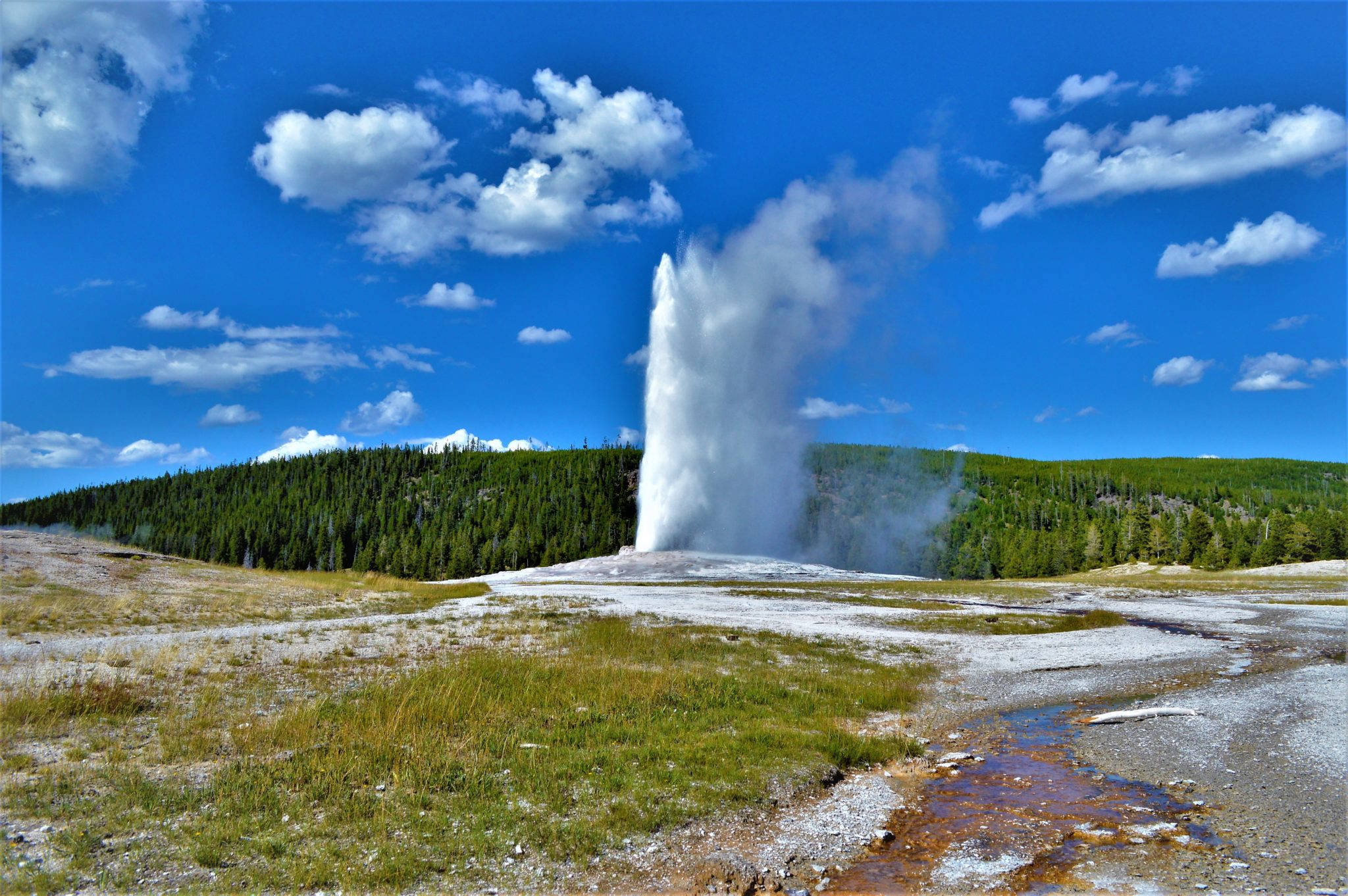 Yellowstone 桌布 壁紙 — 一個強大的間歇泉向著點綴著蓬鬆白雲的鮮豔藍天高高噴發，下方是樹木繁茂的山丘。