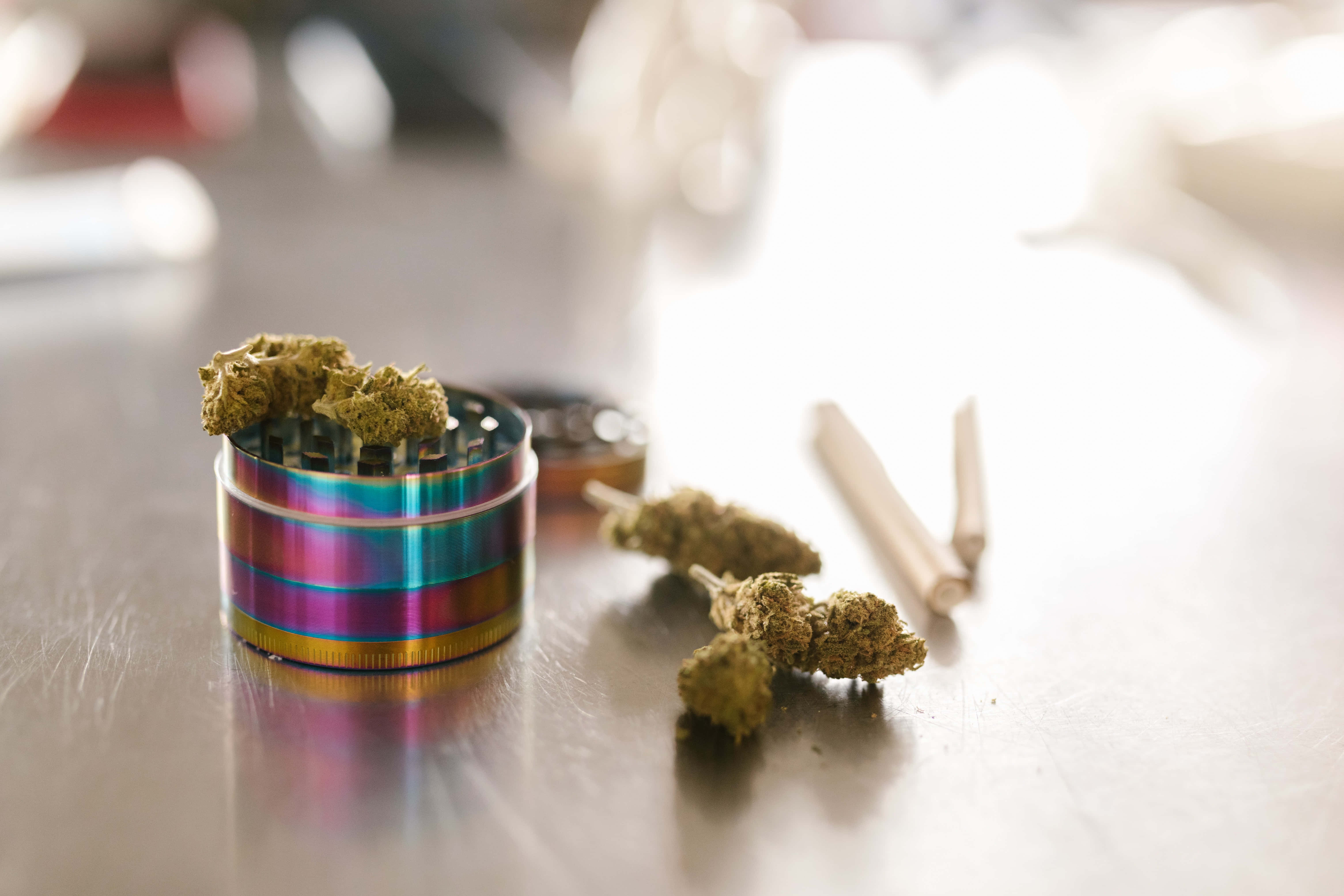 Weed Blunt 桌布 壁紙 — 一個彩虹色的研磨器裝滿大麻花蕾，放在反光的金屬表面上，旁邊有捲好的大麻煙和散落的花蕾。