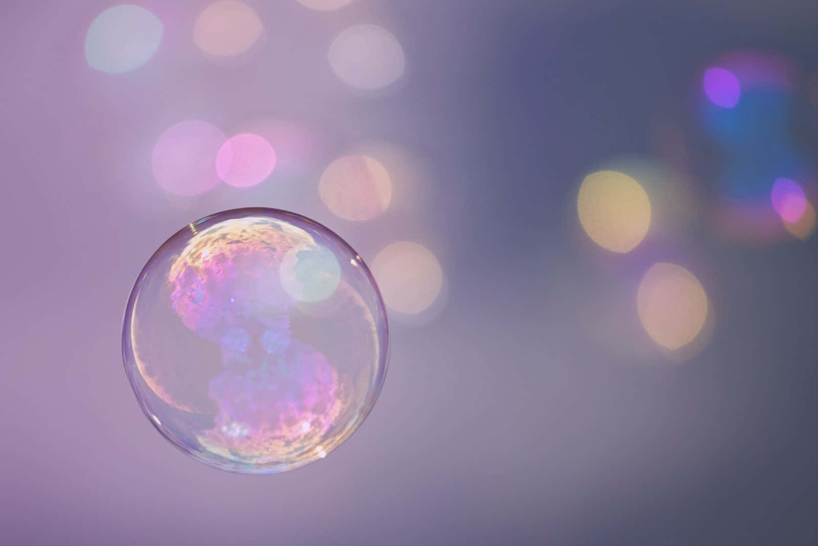 Bubble 桌布 壁紙 — 一個彩虹色的肥皂泡漂浮在柔和的紫色背景上，帶有發光的散景燈光。